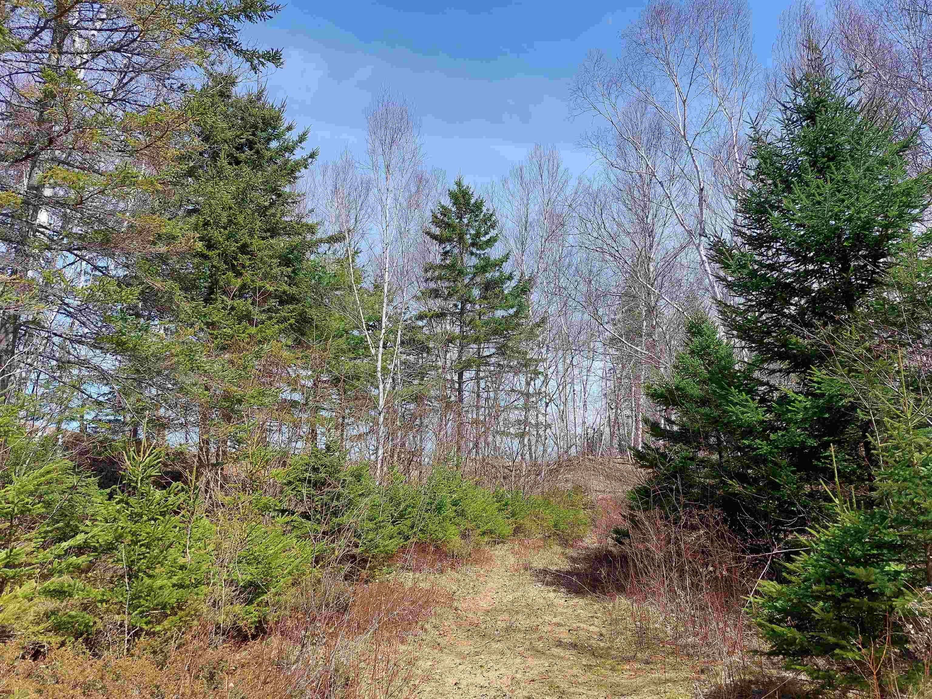 $99,000.00: Lot 21A Jonathan R Bouman Ln, Evanston