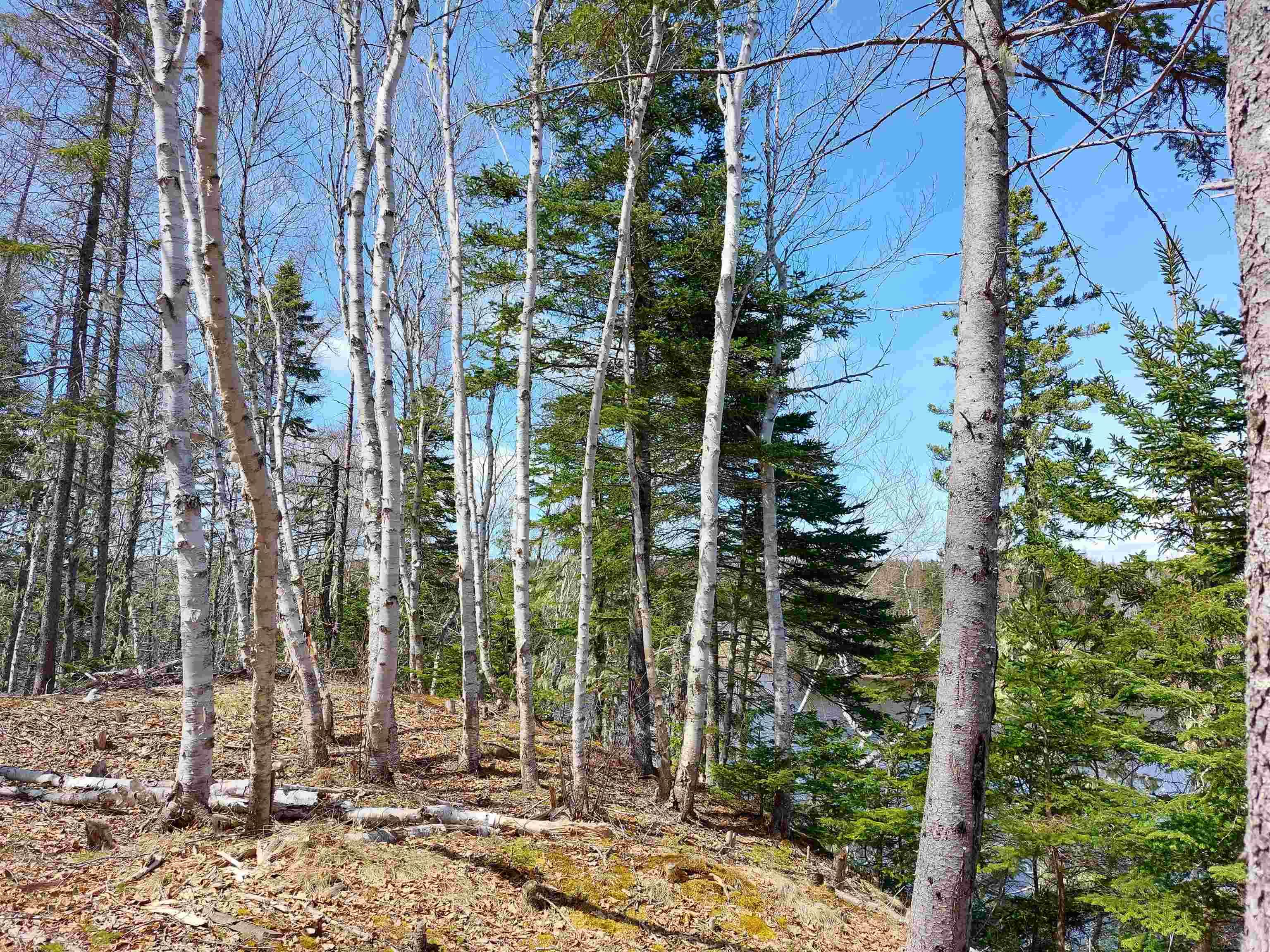 $99,000.00: Lot 21A Jonathan R Bouman Ln, Evanston