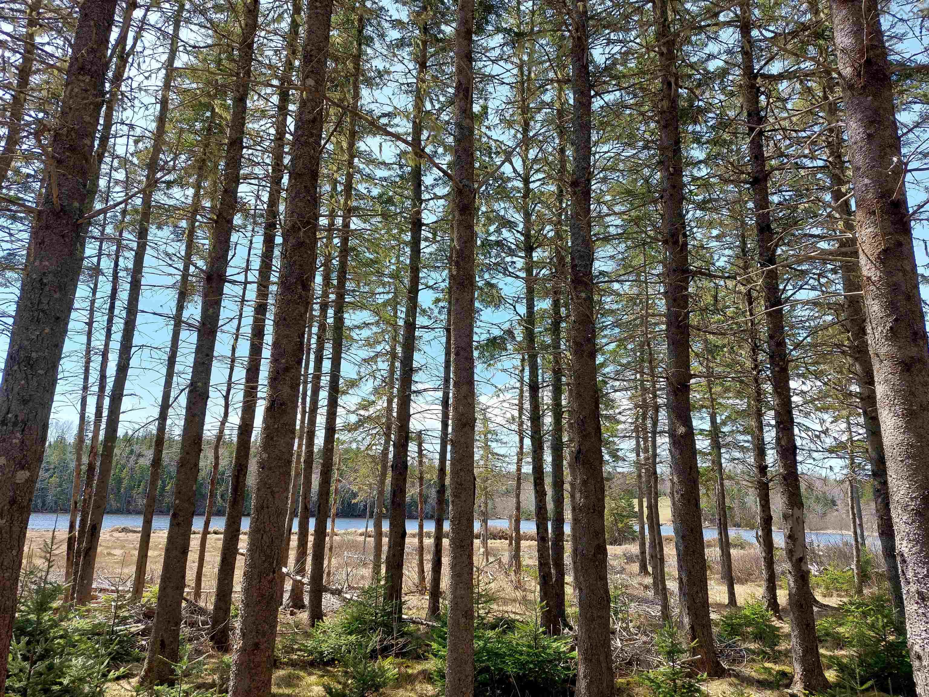 $99,000.00: Lot 21A Jonathan R Bouman Ln, Evanston