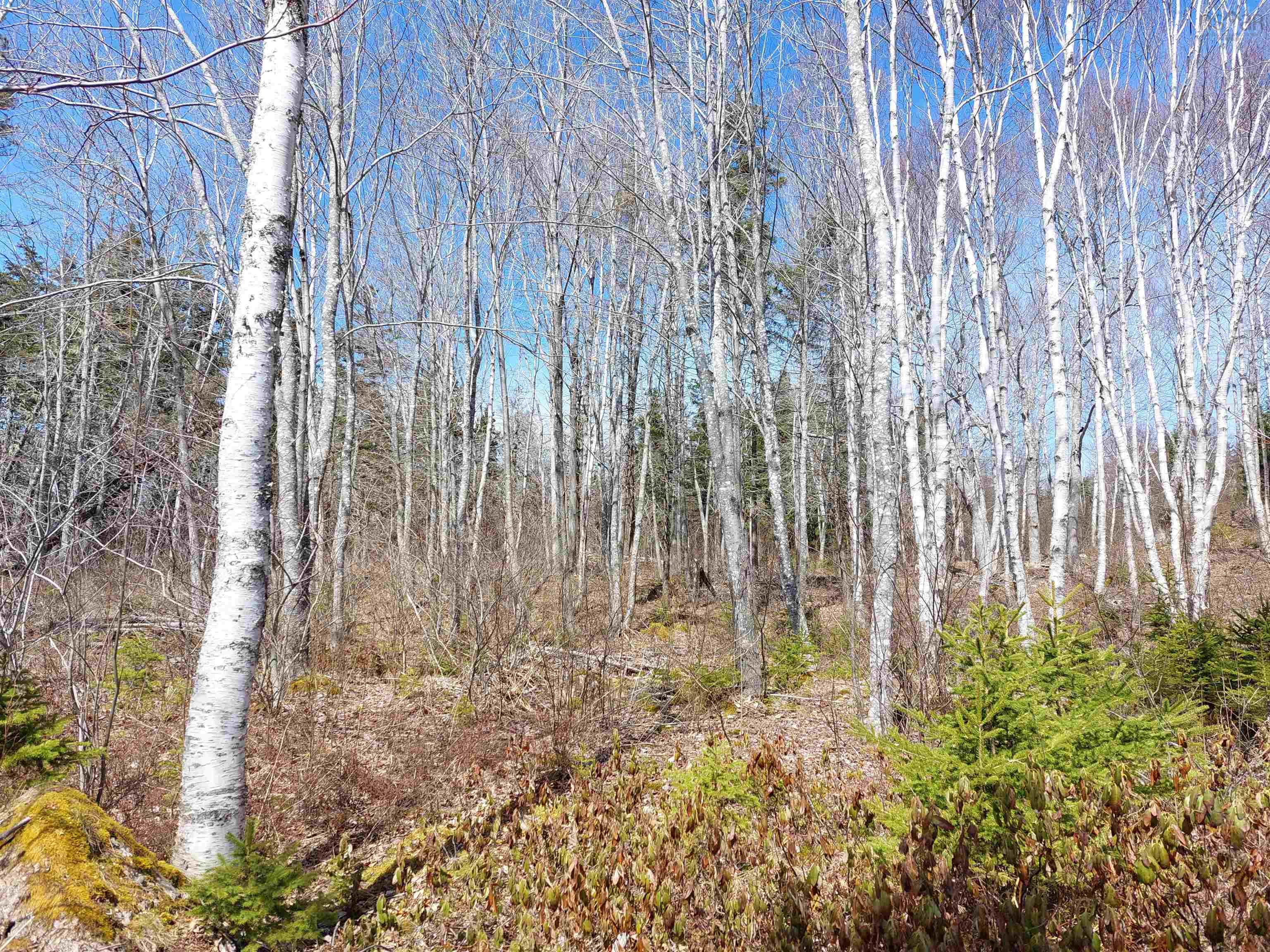 $99,000.00: Lot 21A Jonathan R Bouman Ln, Evanston