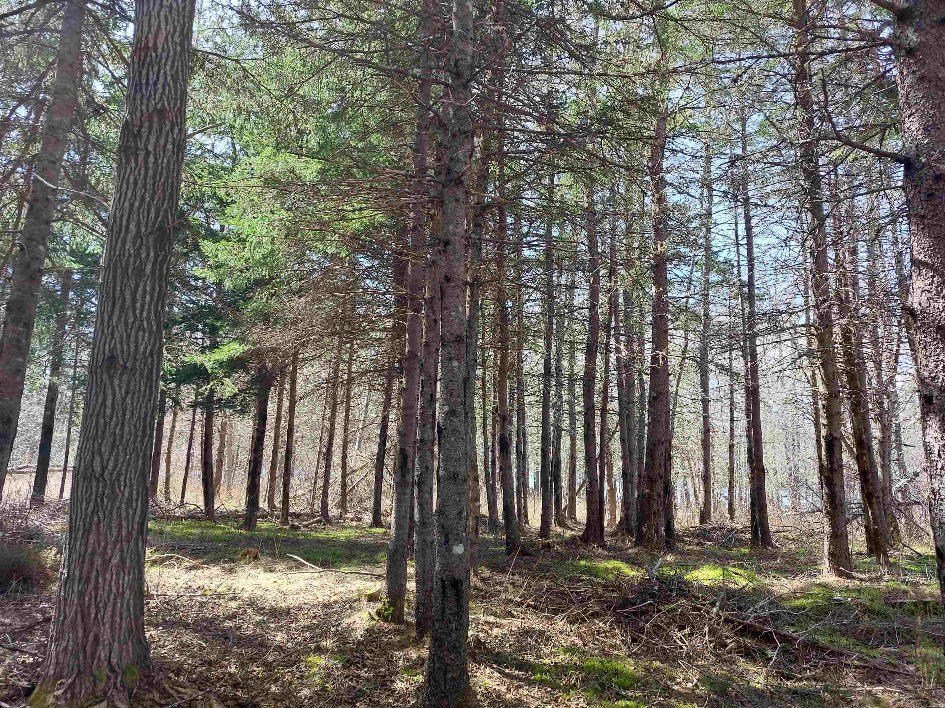 $99,000.00: Lot 21A Jonathan R Bouman Ln, Evanston