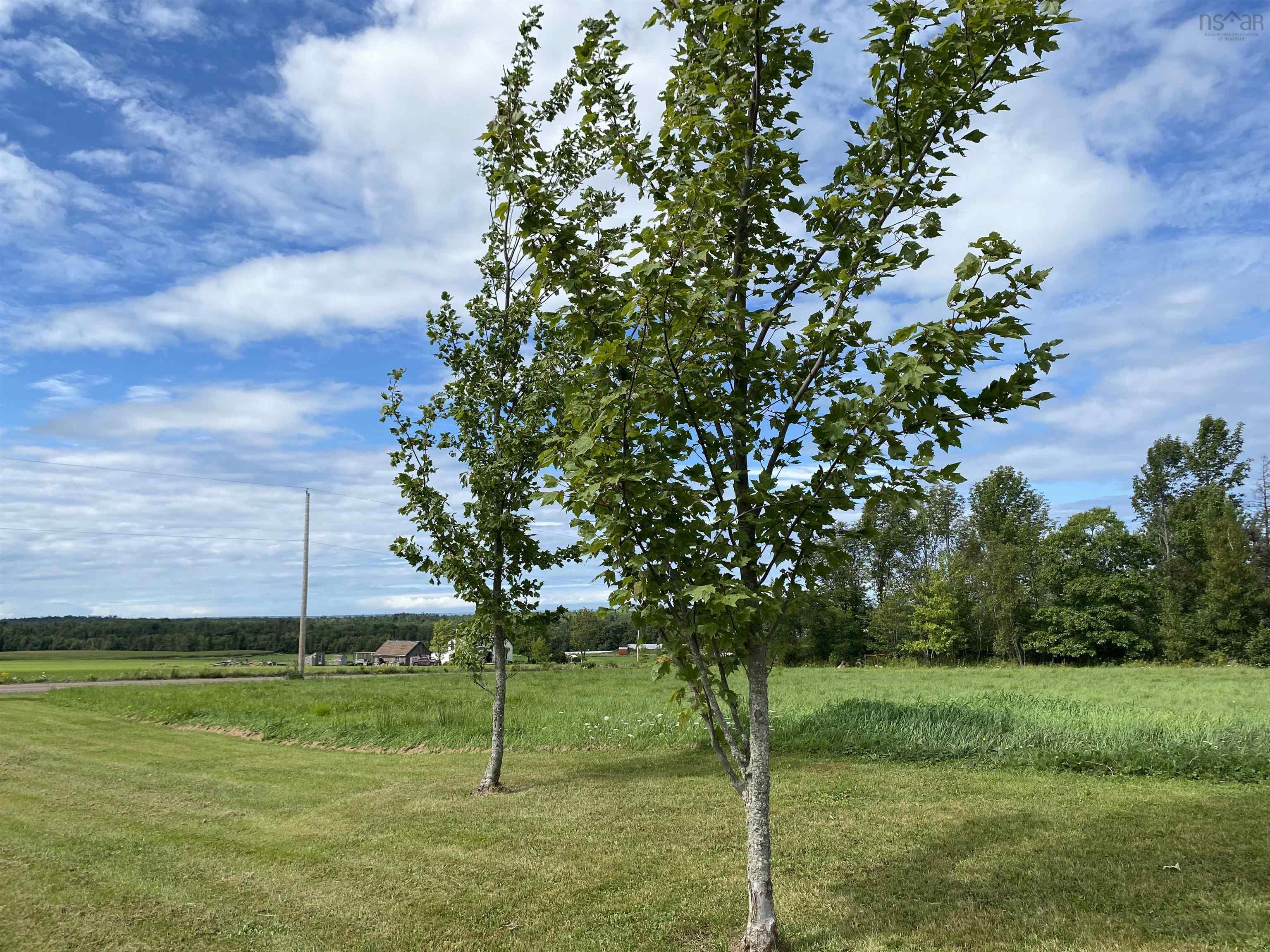 $469,000.00: 758 Mountain Road, River John