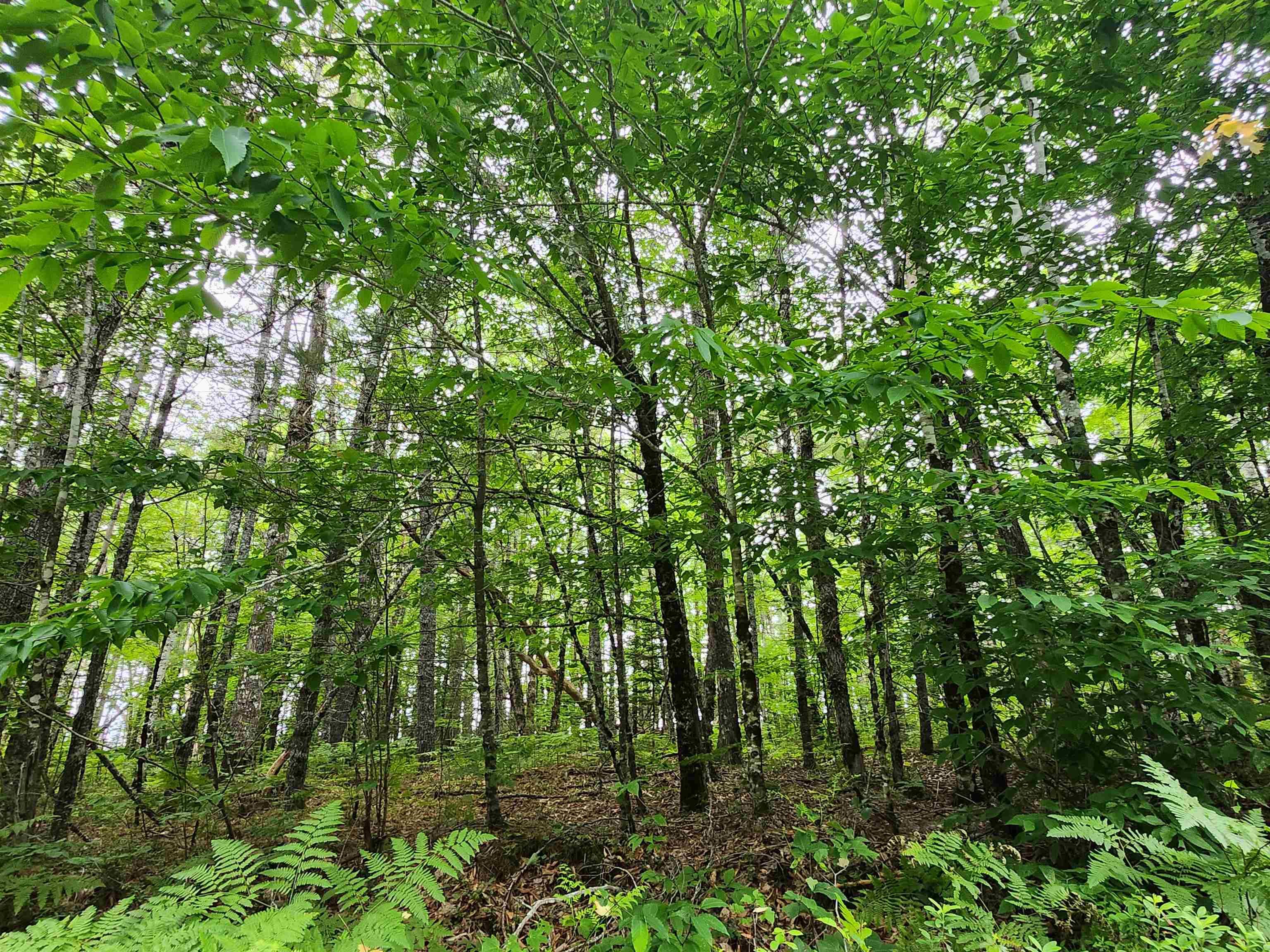 $18,000.00: Lot 73 Baker Point Road, Molega