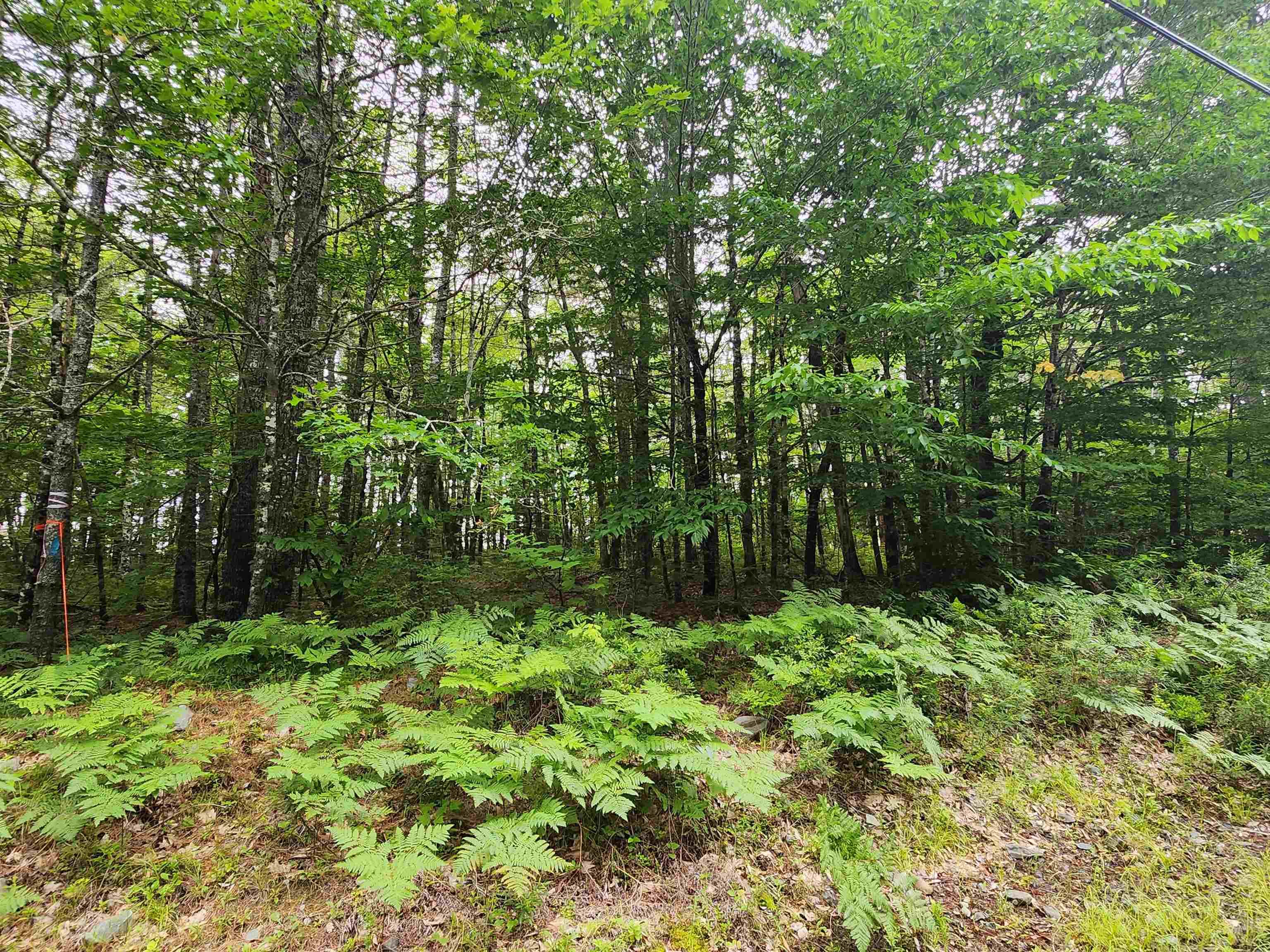 $18,000.00: Lot 73 Baker Point Road, Molega
