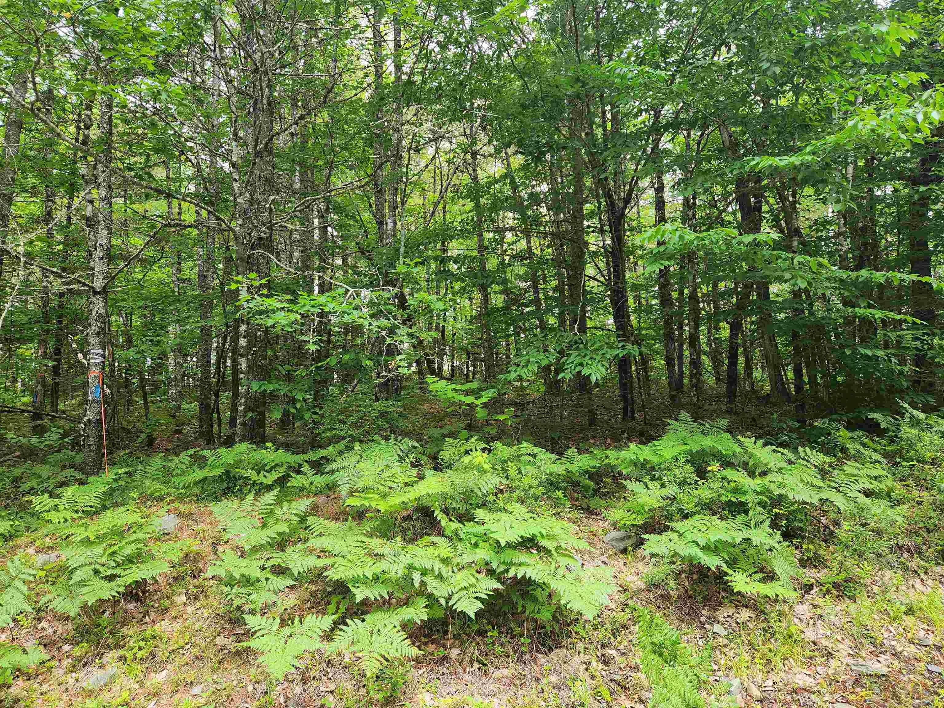 $18,000.00: Lot 73 Baker Point Road, Molega