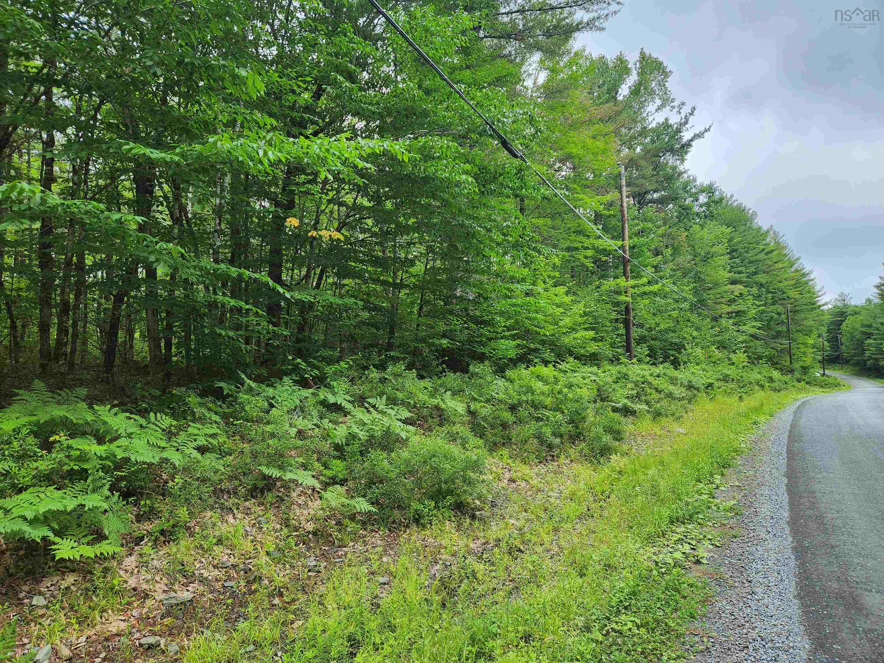 $18,000.00: Lot 73 Baker Point Road, Molega