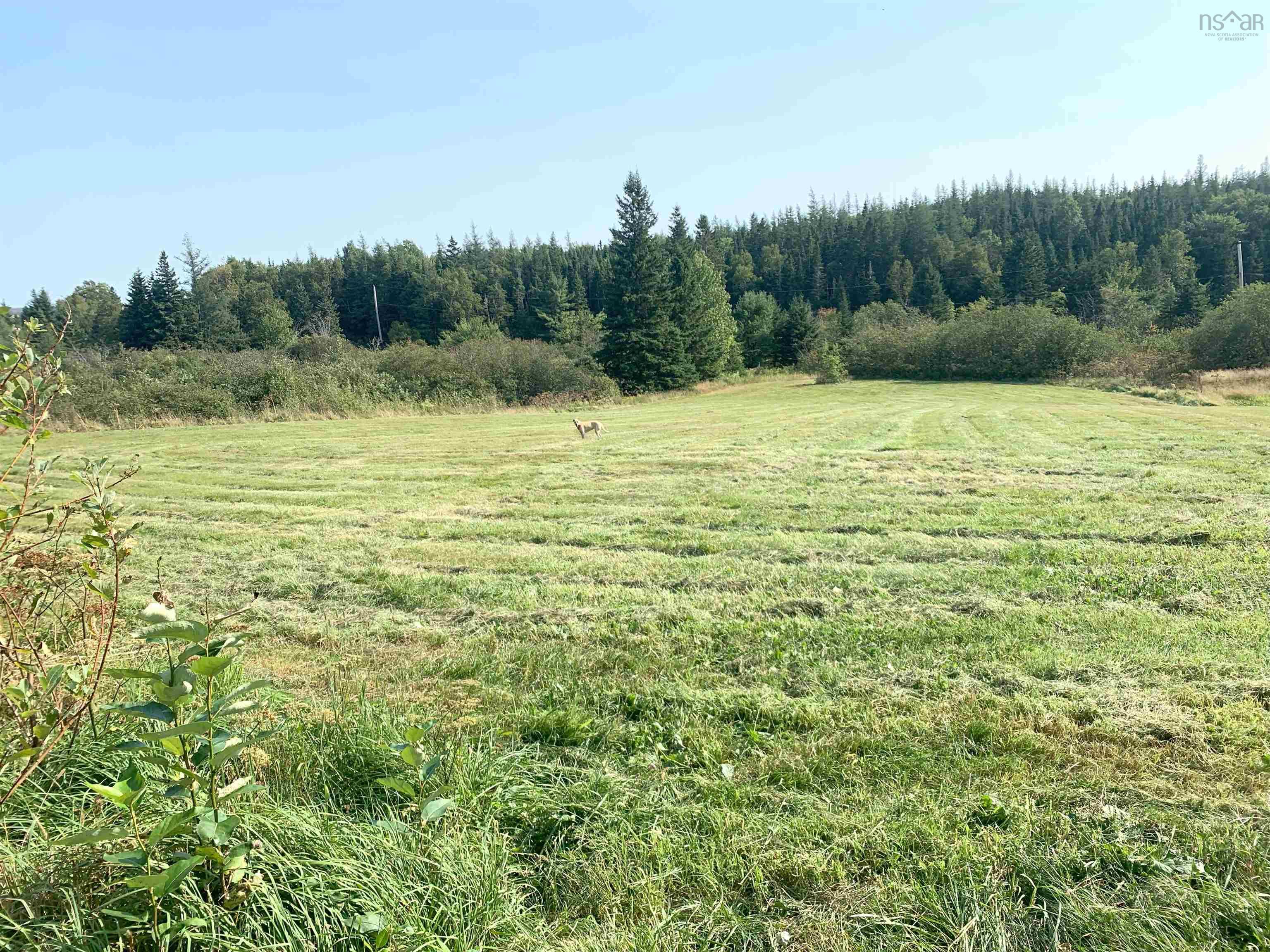 $339,000.00: 21 Glencoe Road, Glencoe Mills