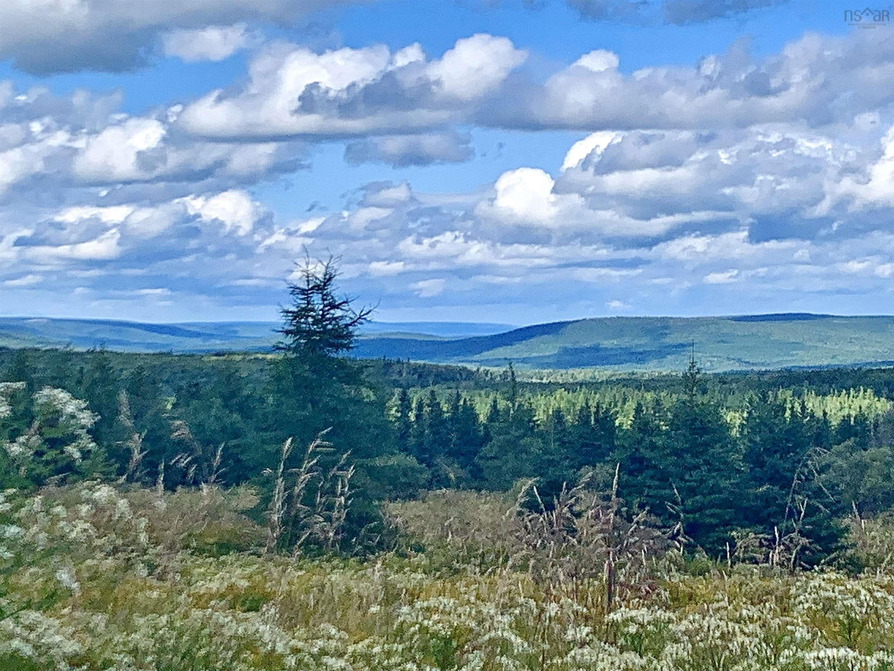 $339,000.00: 21 Glencoe Road, Glencoe Mills