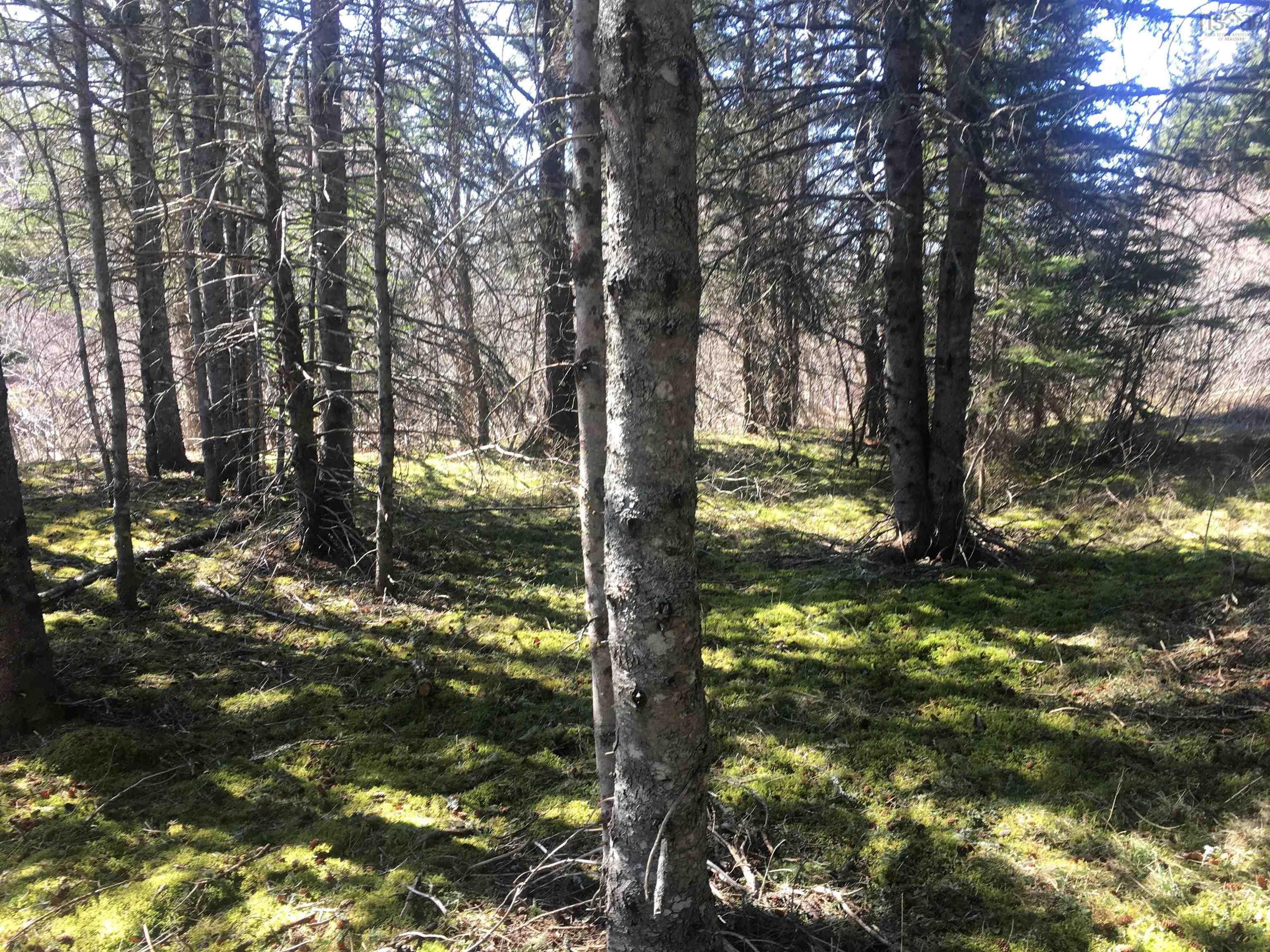 $339,000.00: 21 Glencoe Road, Glencoe Mills