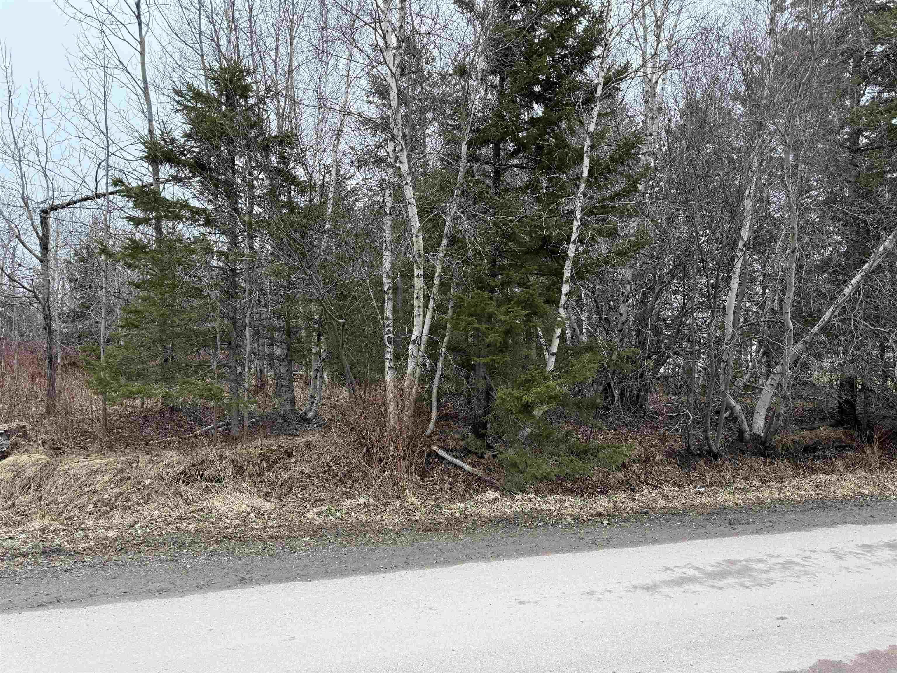 $59,900.00: - Finlay Dan Road, Thorburn