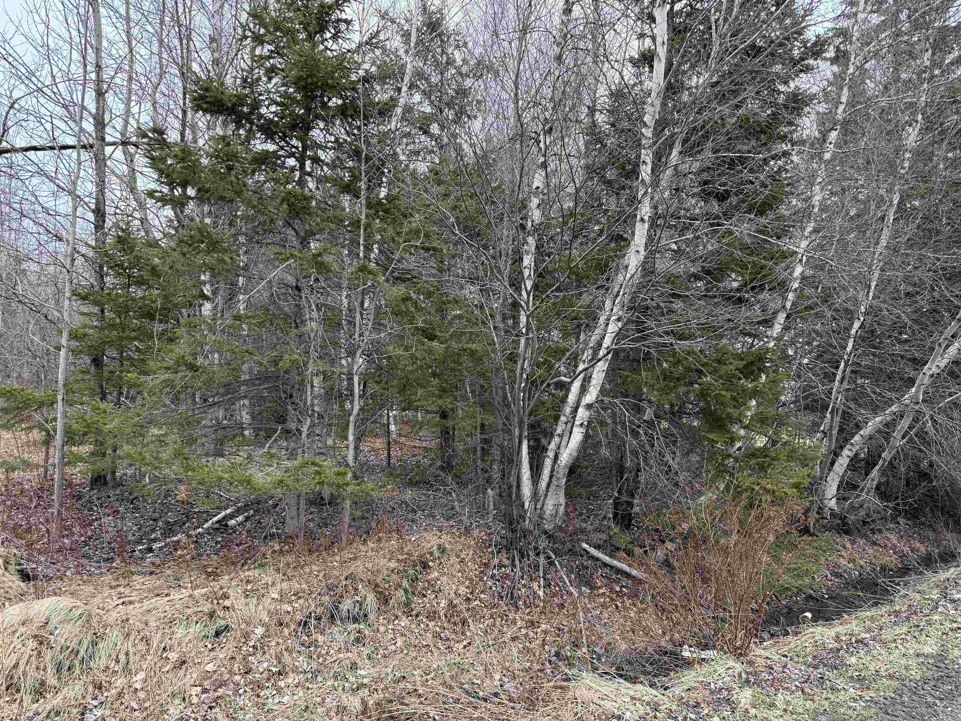 $59,900.00: - Finlay Dan Road, Thorburn