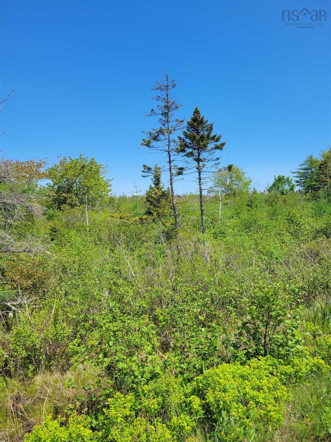 No 207 Highway Seaforth, Seaforth, NS (MLS 202505886)