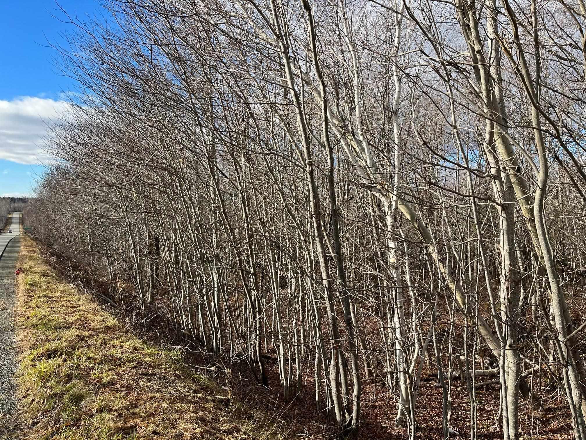 $41,000.00: Lot 5 Little Egypt Road, Pictou County