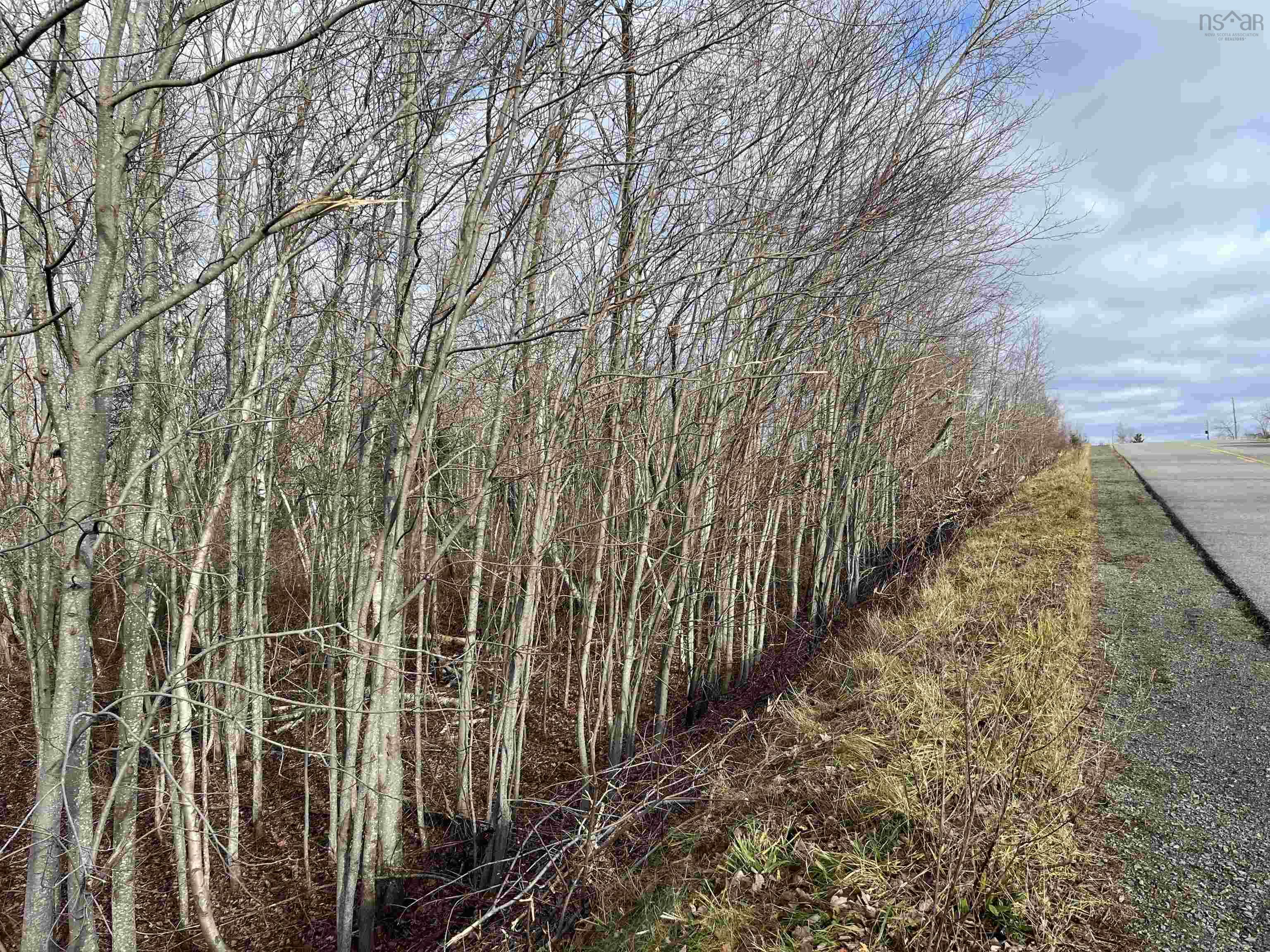 $41,000.00: Lot 5 Little Egypt Road, Pictou County