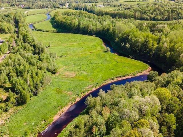 $250,000.00: land Mines and Davidson Road, Upper Falmouth