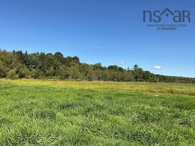 $250,000.00: land Mines and Davidson Road, Upper Falmouth