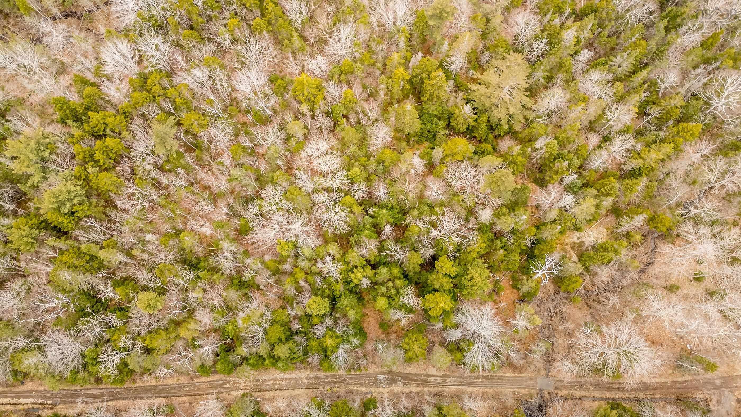 $105,000.00: Lot C Forest Glade Road, Forest Glade