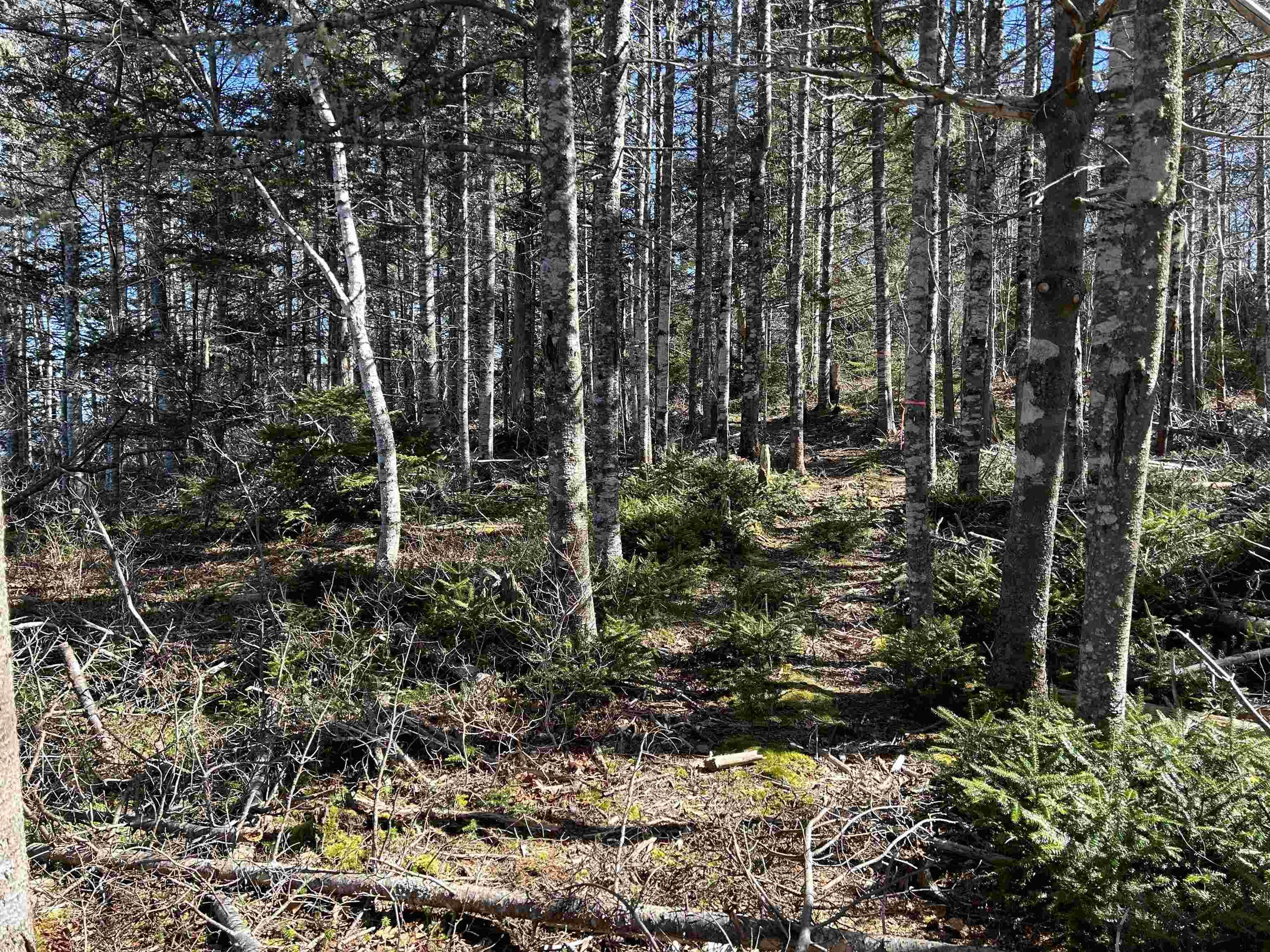 $79,000.00: LOT 8 Port LaTour Raod, Port Clyde