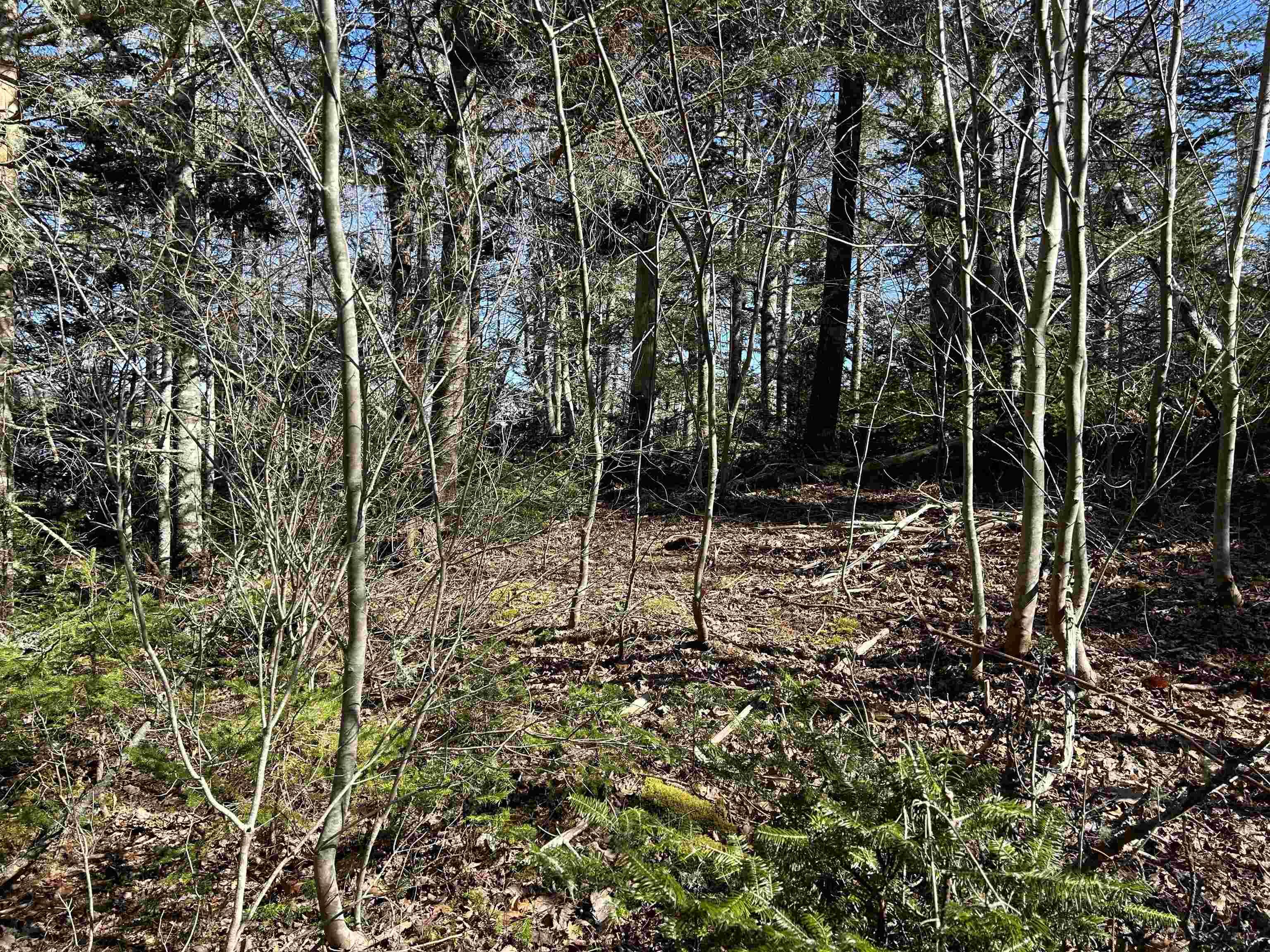 $79,000.00: LOT 8 Port LaTour Raod, Port Clyde