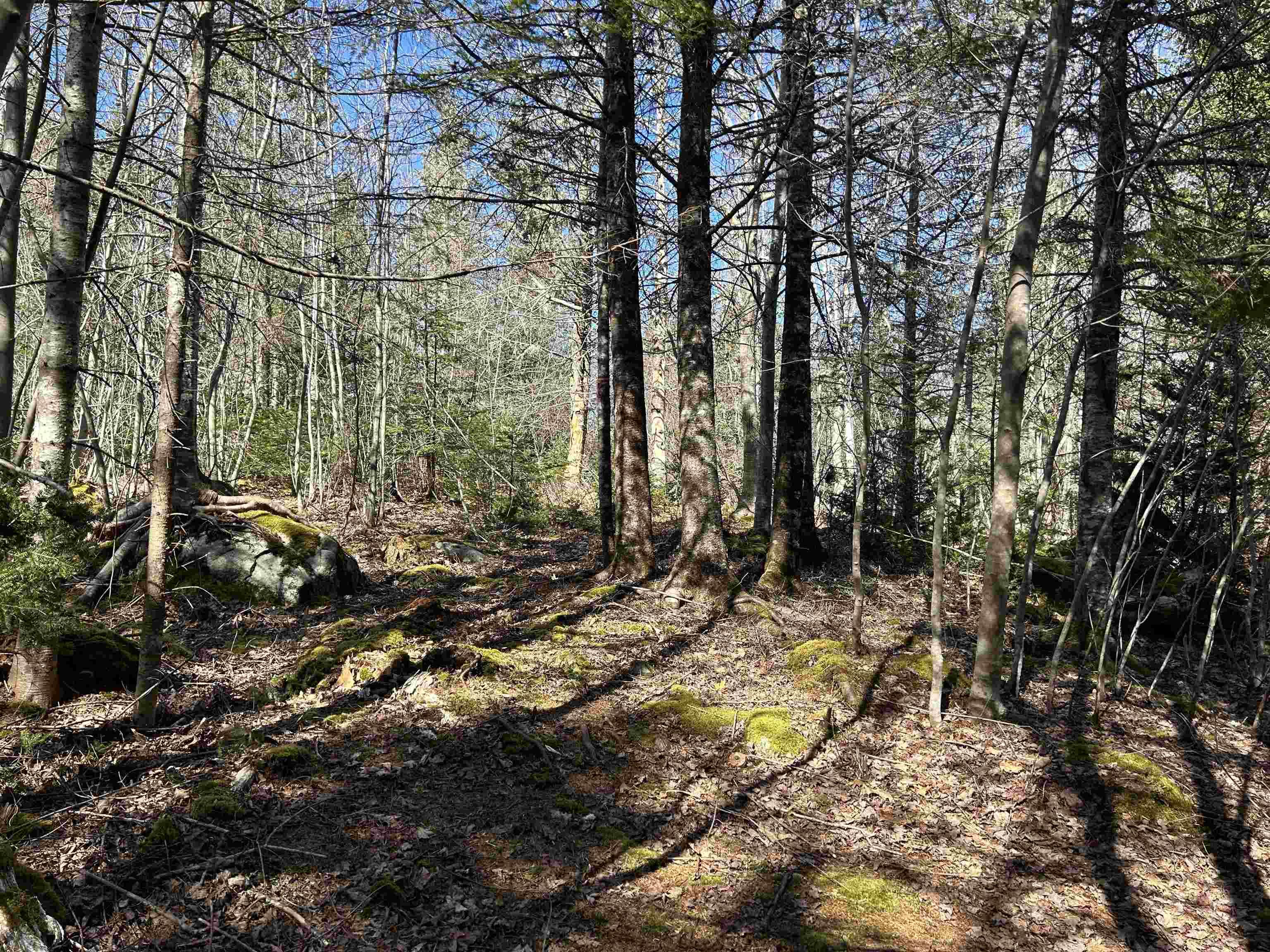 $79,000.00: LOT 8 Port LaTour Raod, Port Clyde