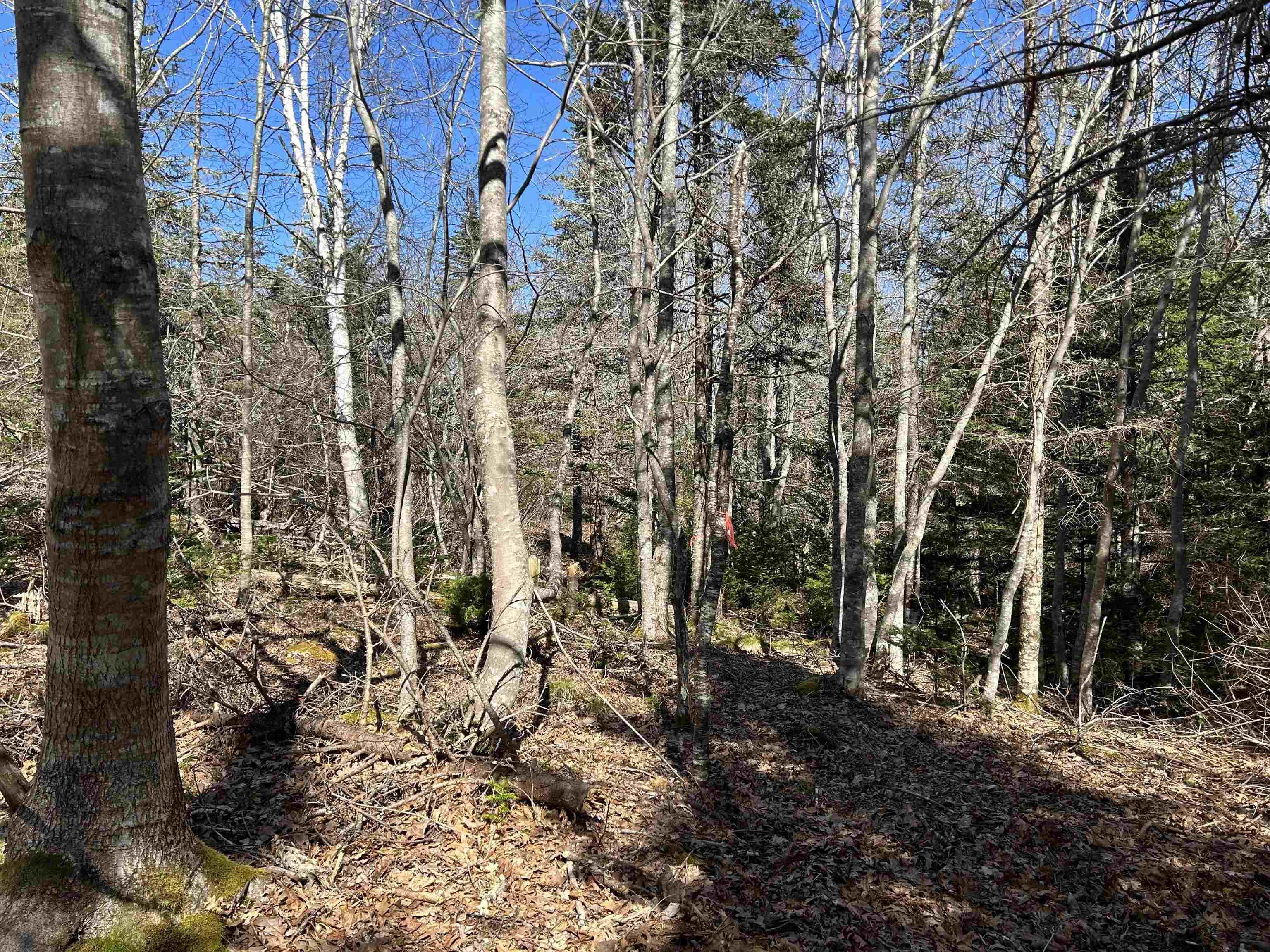 $79,000.00: LOT 8 Port LaTour Raod, Port Clyde