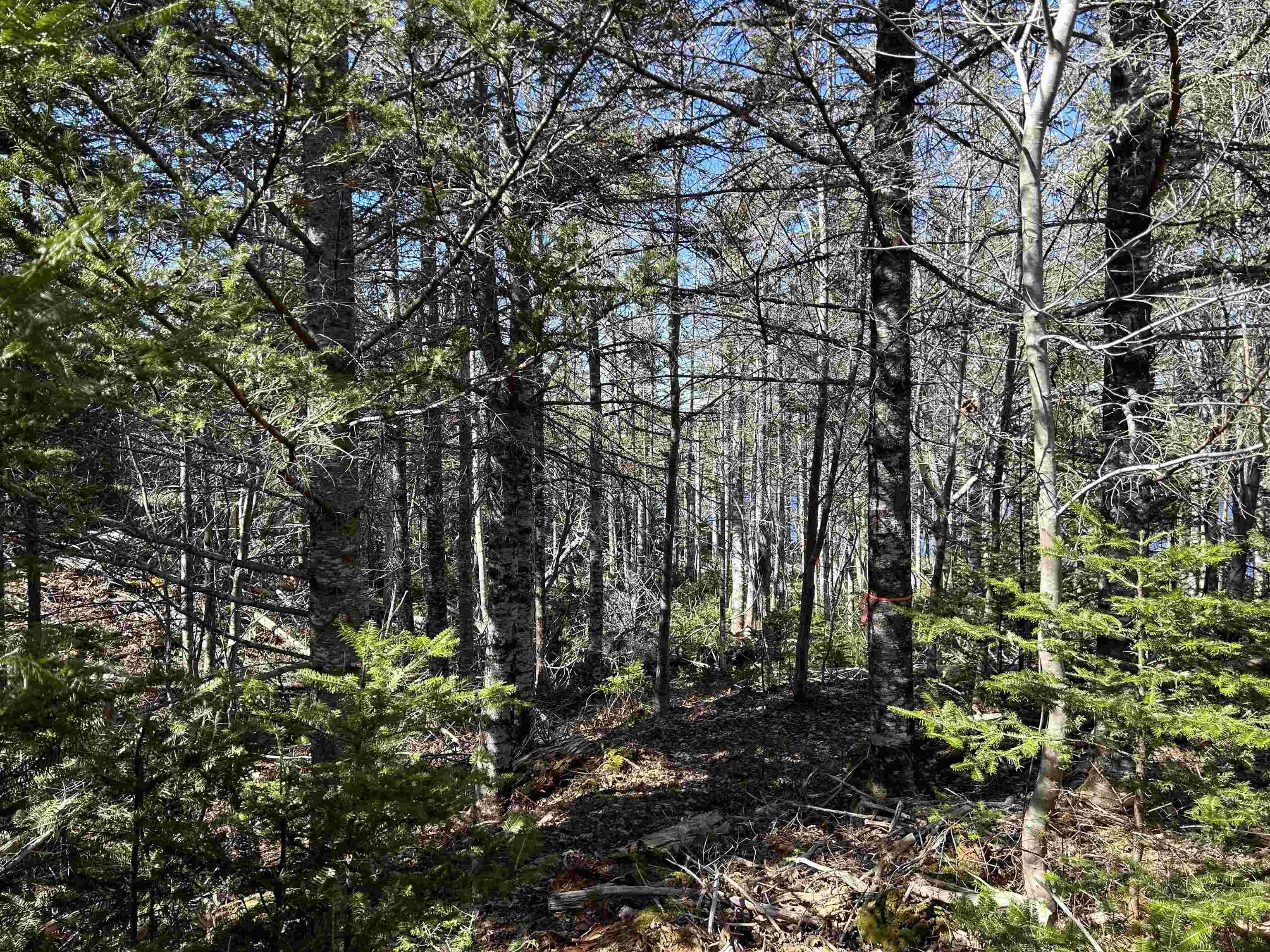 $79,000.00: LOT 8 Port LaTour Raod, Port Clyde