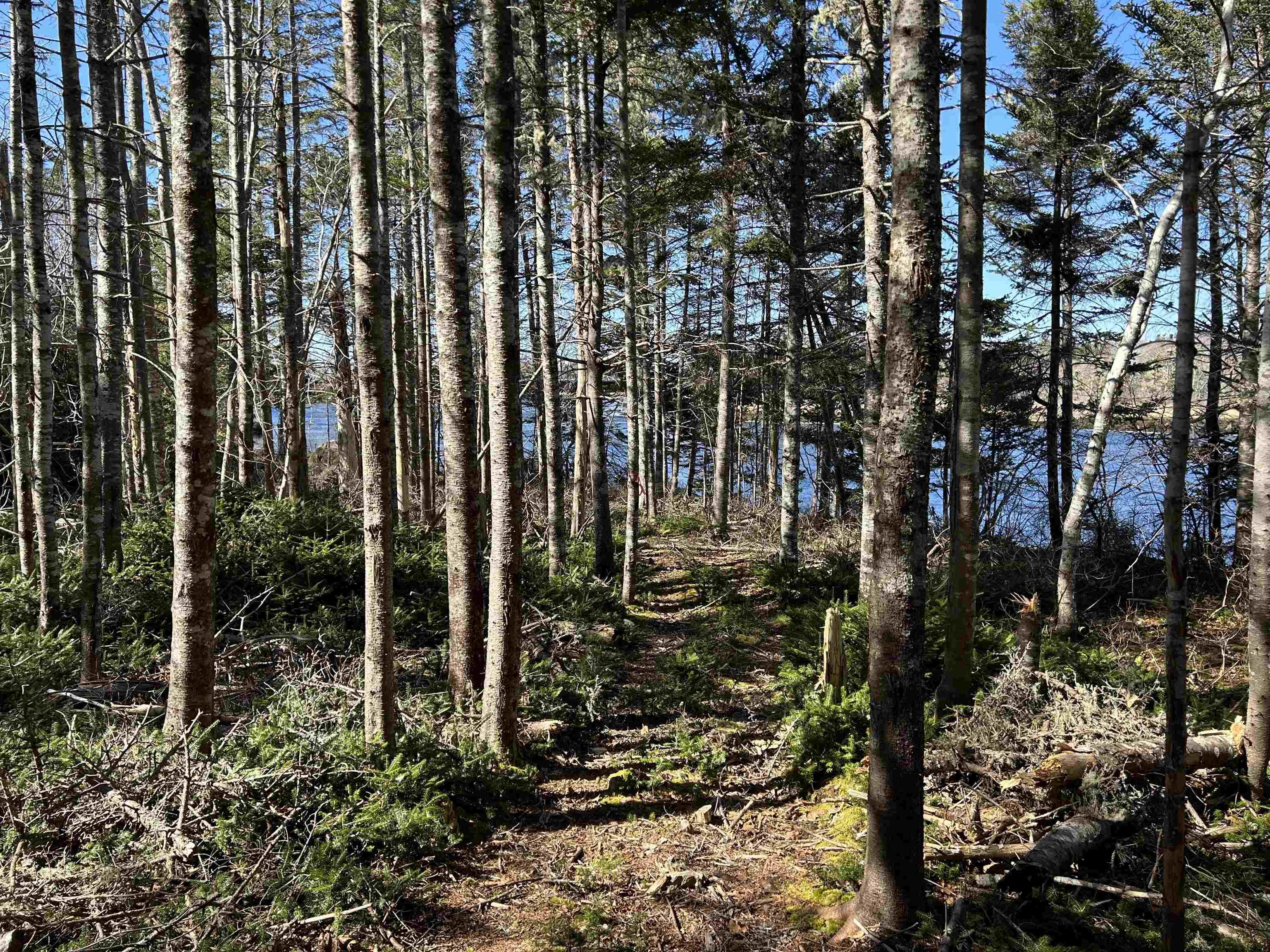 $79,000.00: LOT 8 Port LaTour Raod, Port Clyde