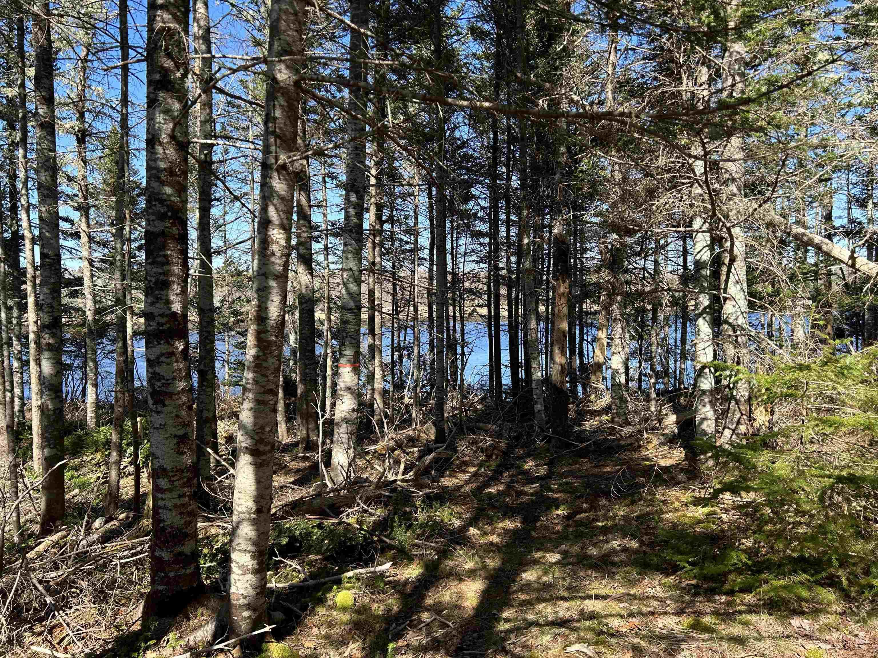 $79,000.00: LOT 8 Port LaTour Raod, Port Clyde