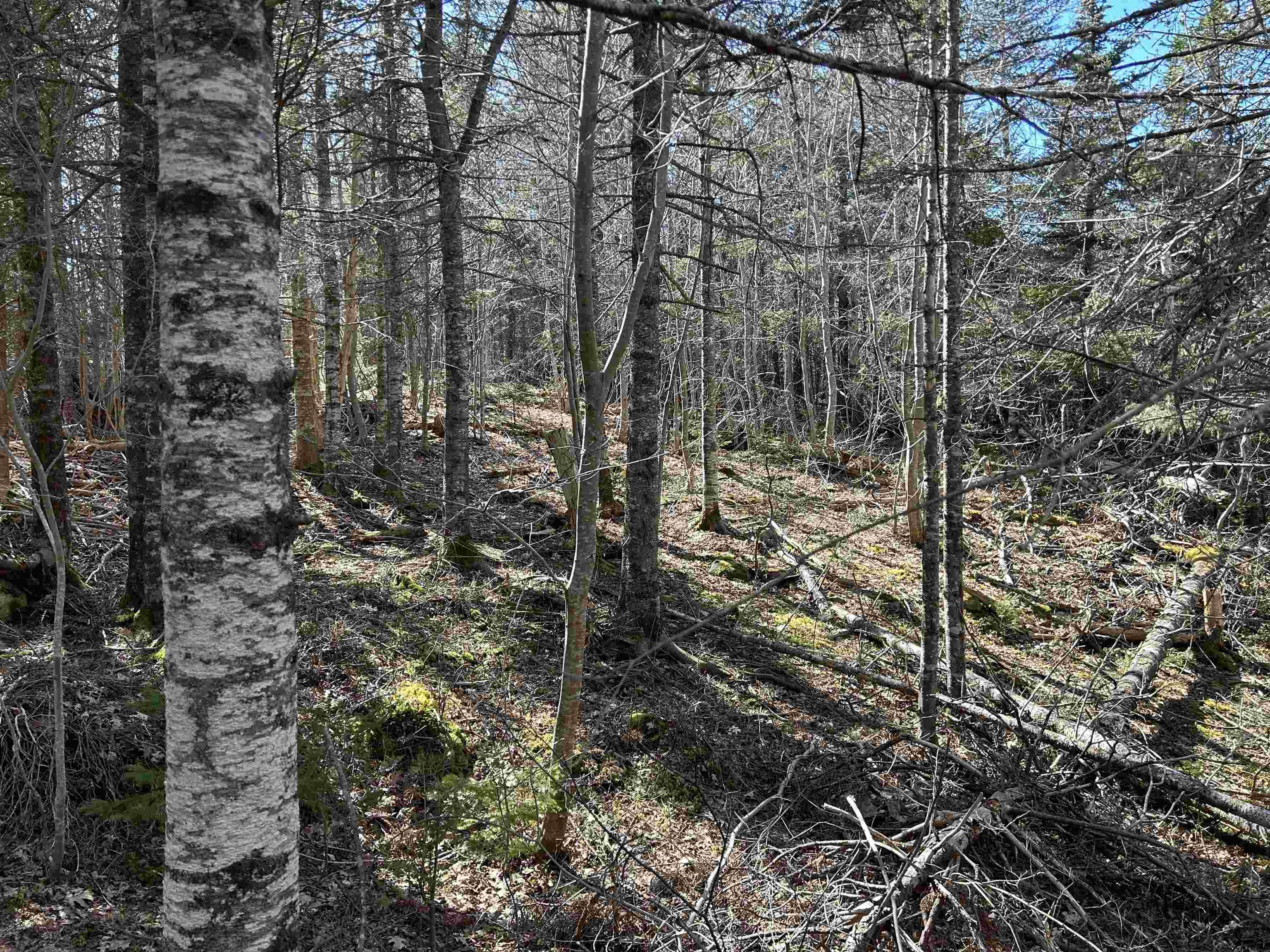 $79,000.00: LOT 8 Port LaTour Raod, Port Clyde