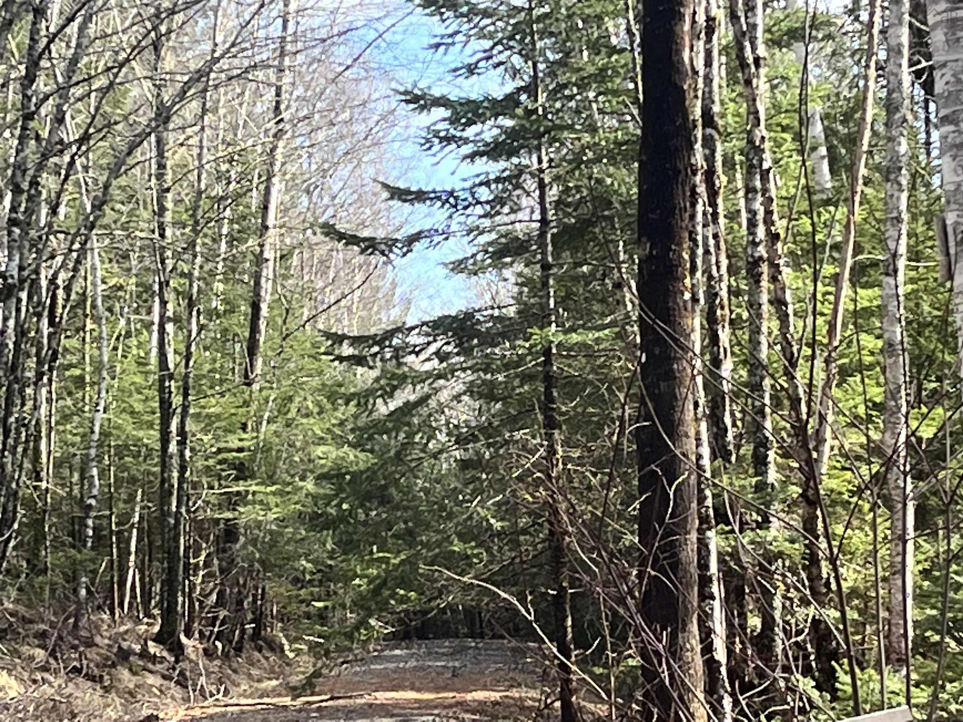 $75,000.00: 419 North River Road, New Germany