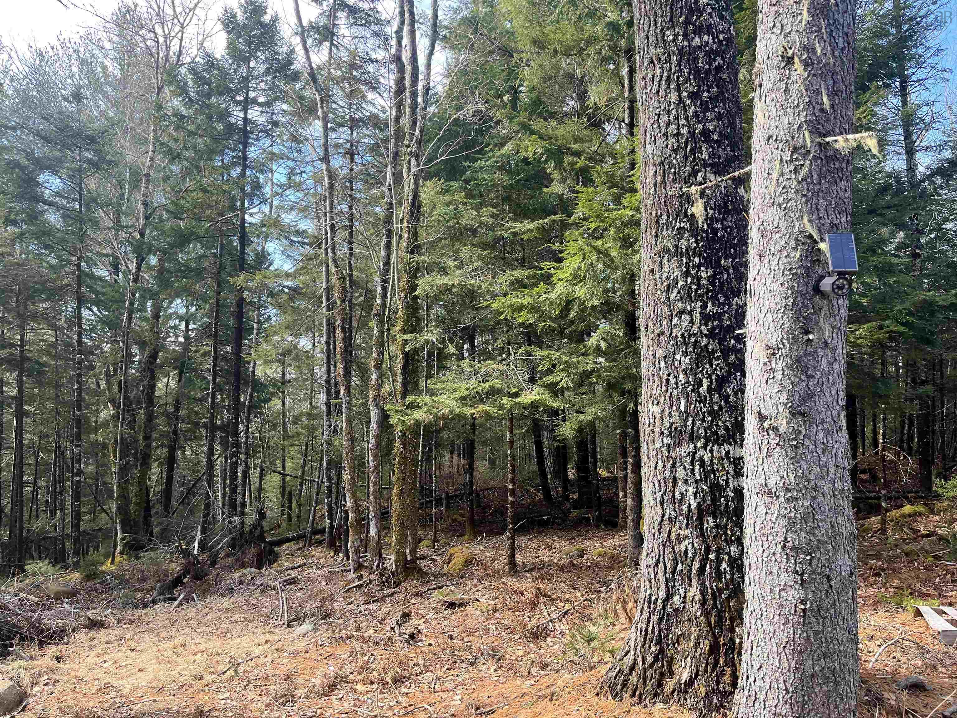 $75,000.00: 419 North River Road, New Germany