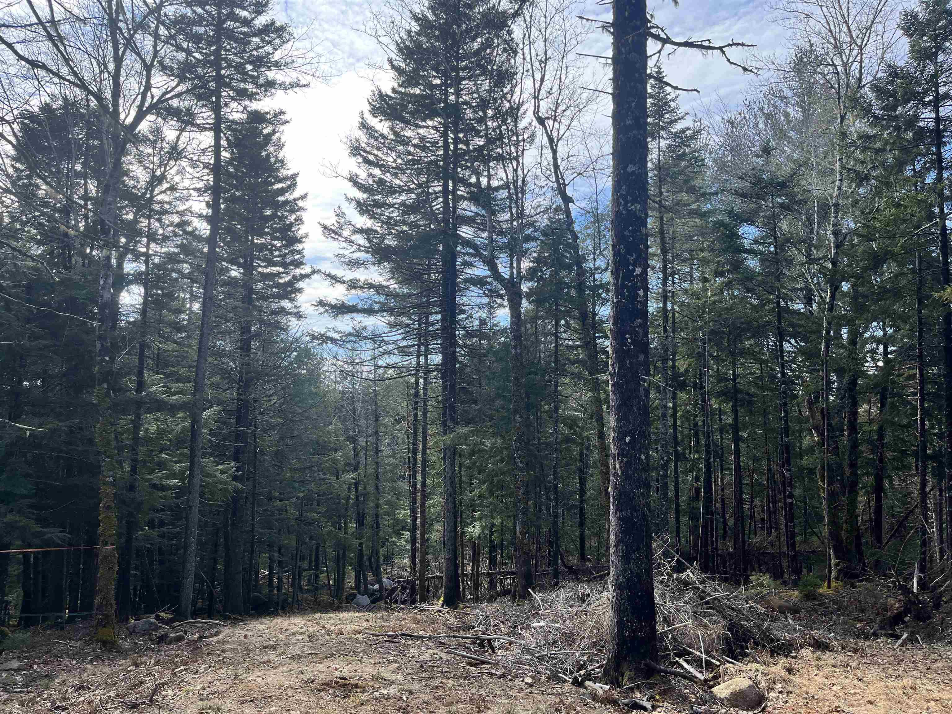 $75,000.00: 419 North River Road, New Germany