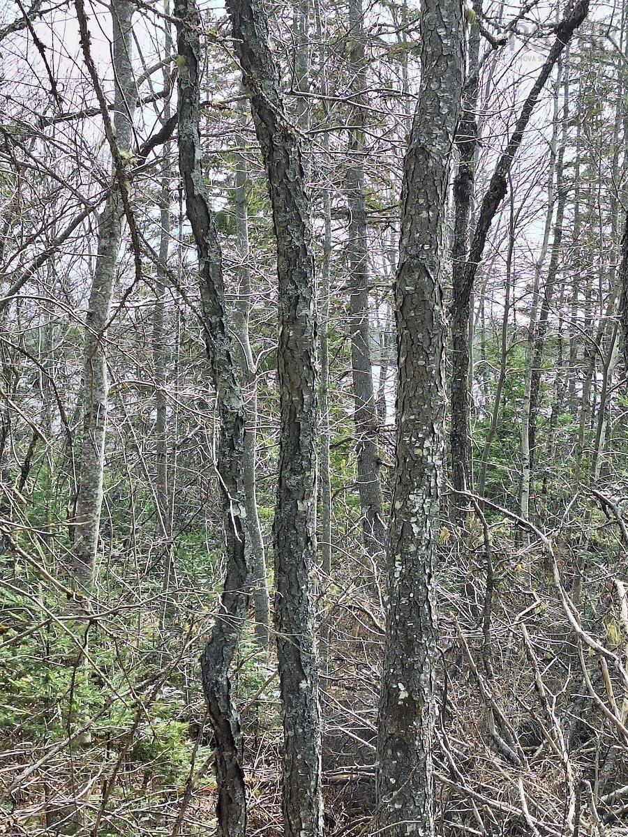 $192,895.00: Lot 23-9 Angevine Road, Angevine Lake