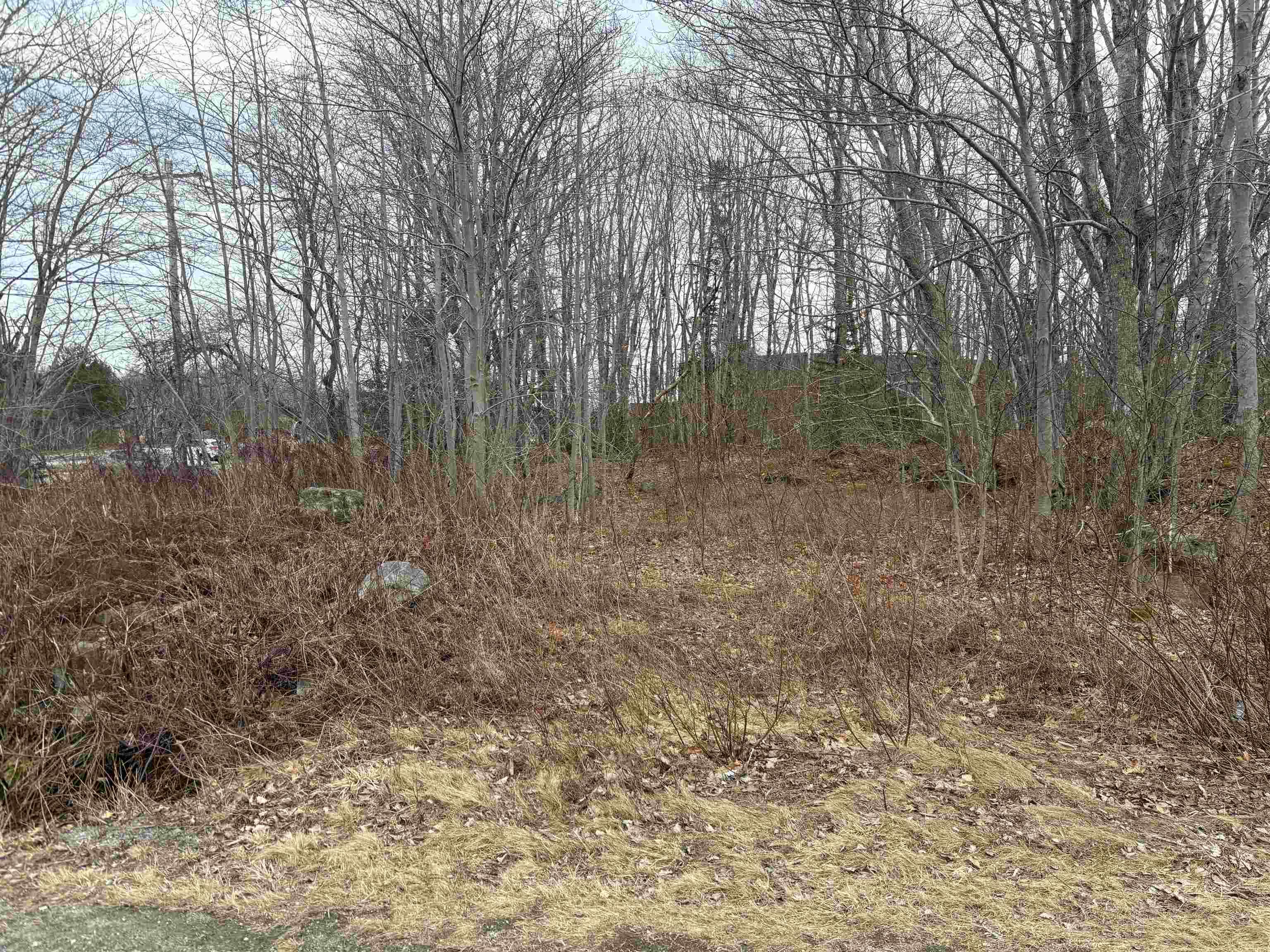 $25,000.00: Lot PID# 70047113 Old Port Mouton Road, White Point