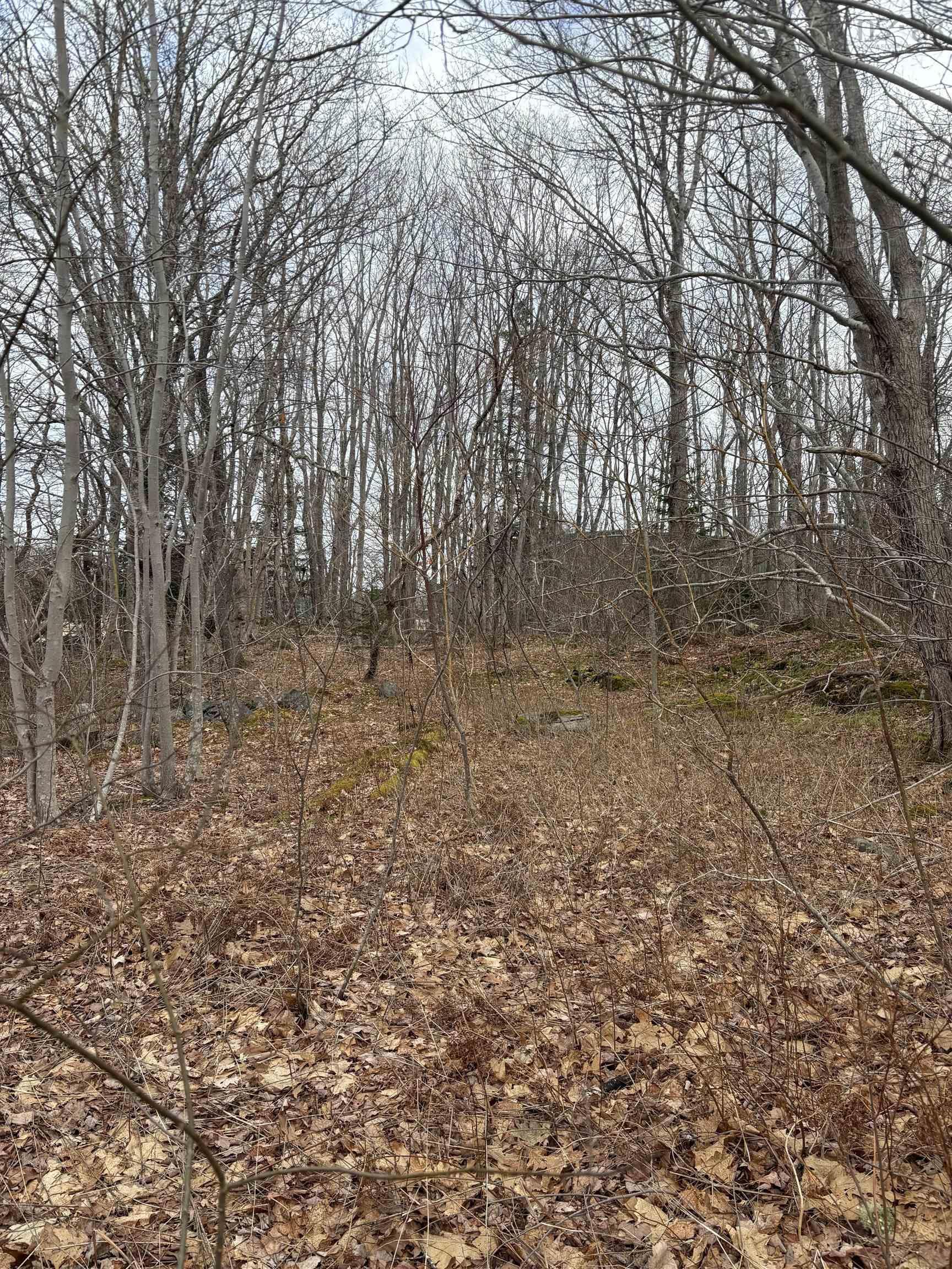 $25,000.00: Lot PID# 70047113 Old Port Mouton Road, White Point