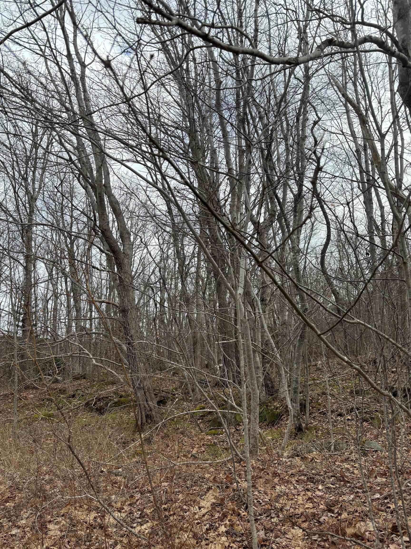 $25,000.00: Lot PID# 70047113 Old Port Mouton Road, White Point