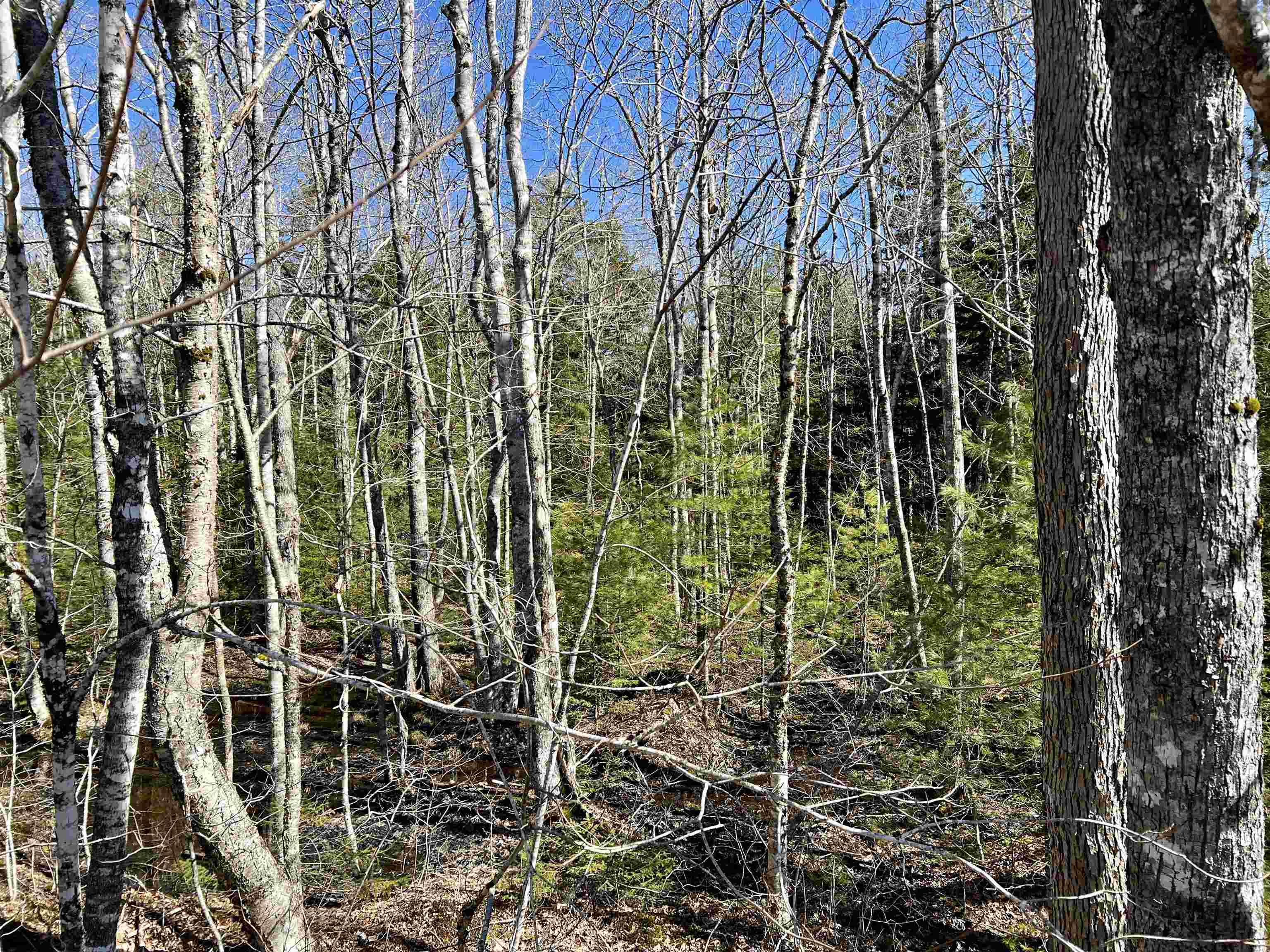 $59,000.00: Lot 71 Snowy Owl Trail, Vaughan