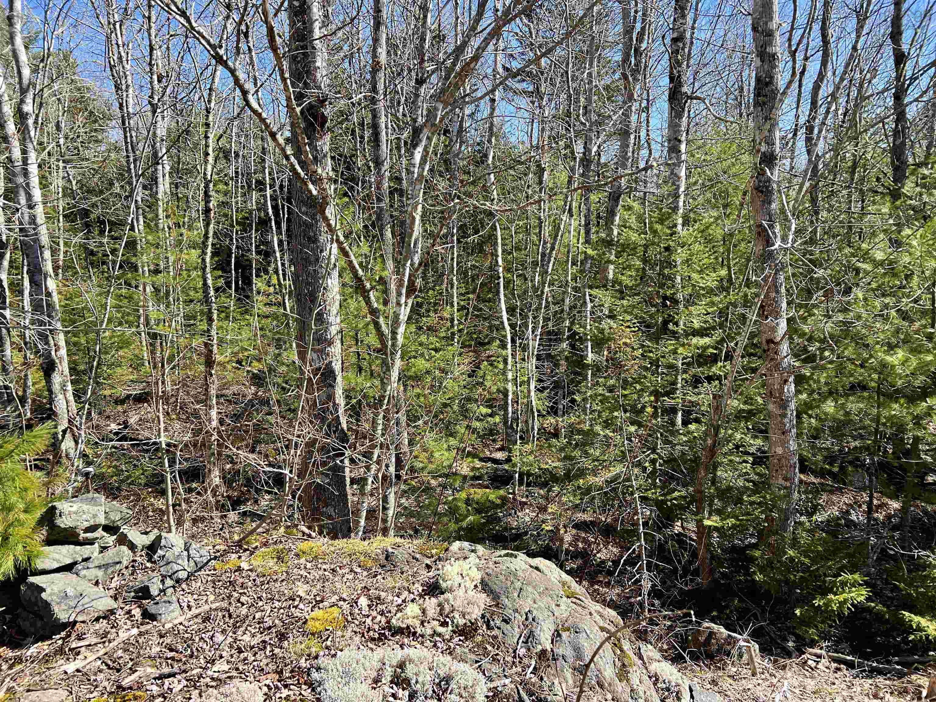$59,000.00: Lot 71 Snowy Owl Trail, Vaughan