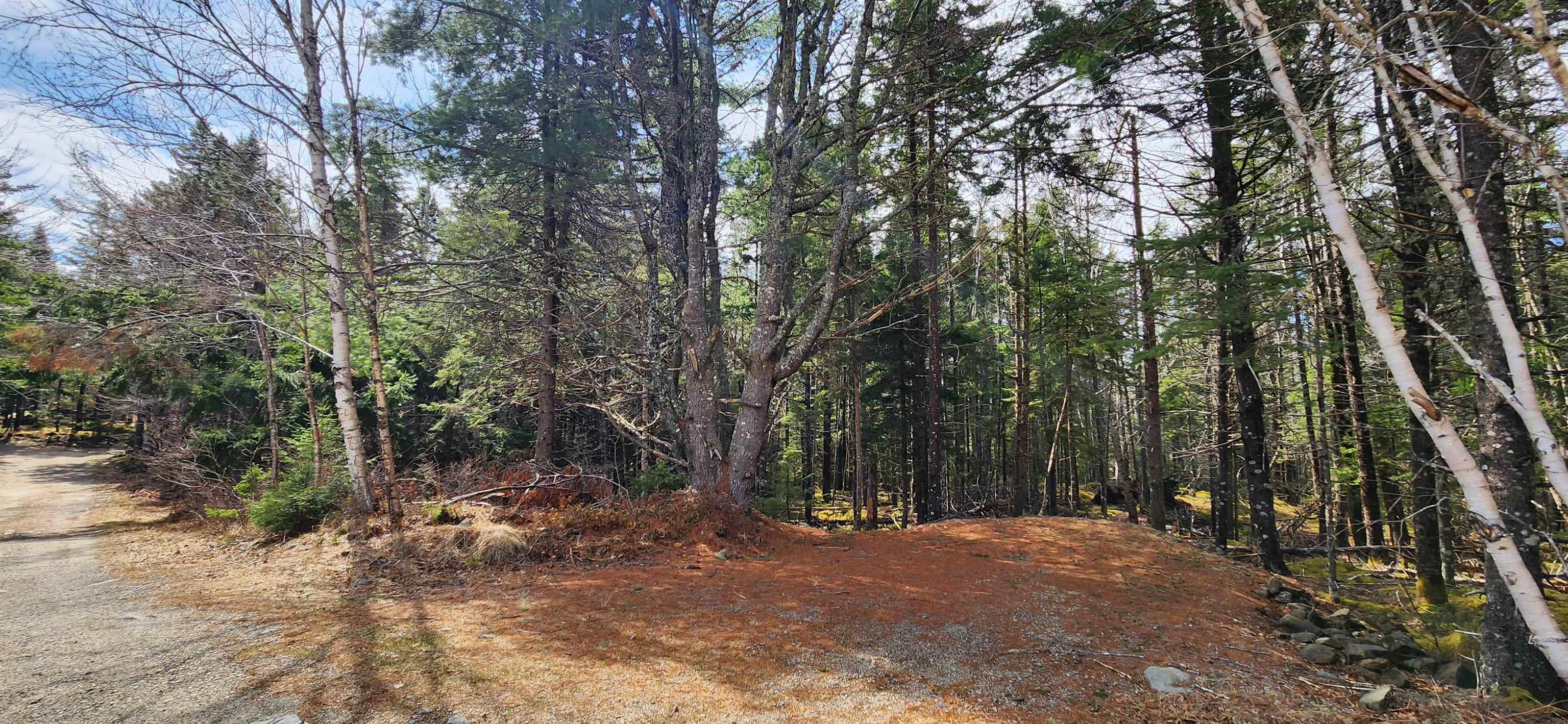 $58,900.00: Lot 101 Woods Road, Bayswater