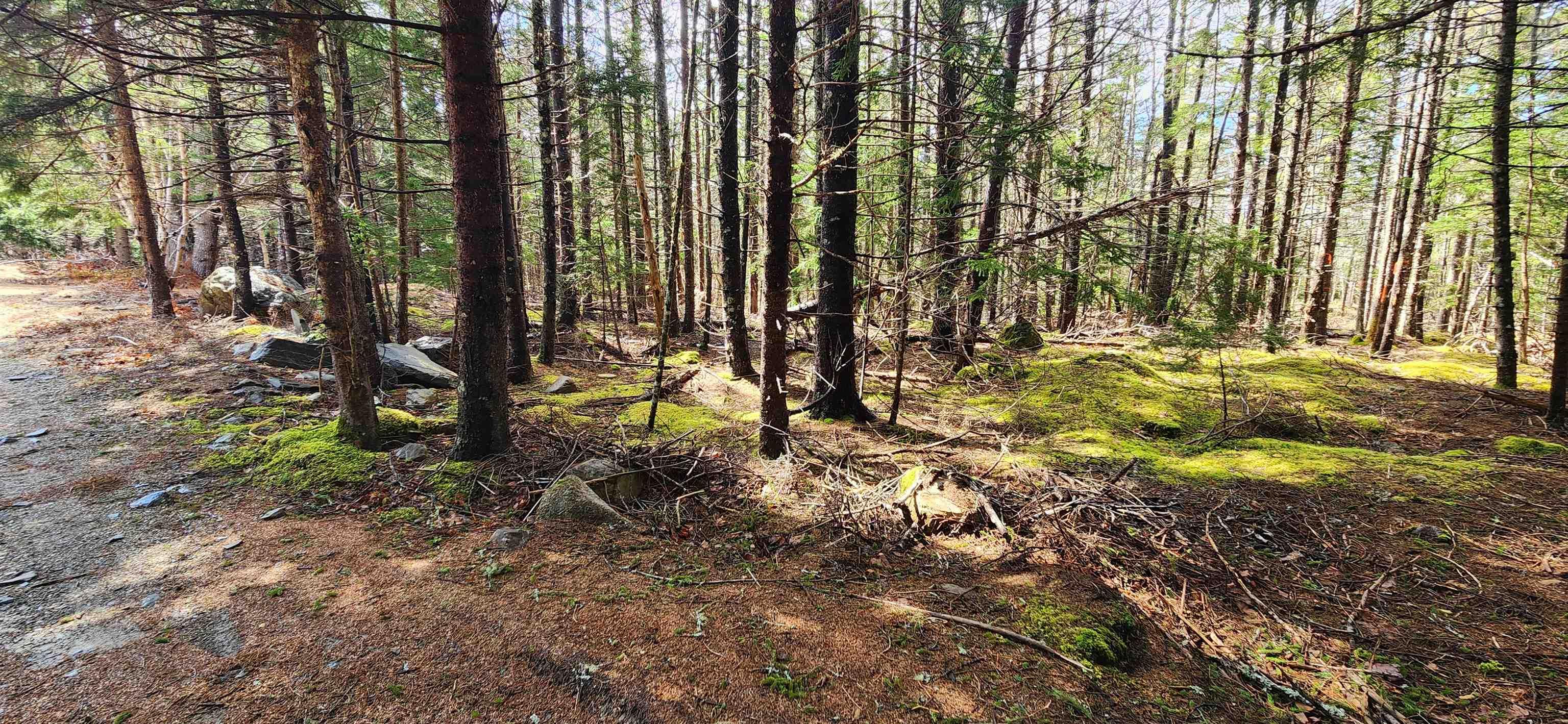 $58,900.00: Lot 101 Woods Road, Bayswater