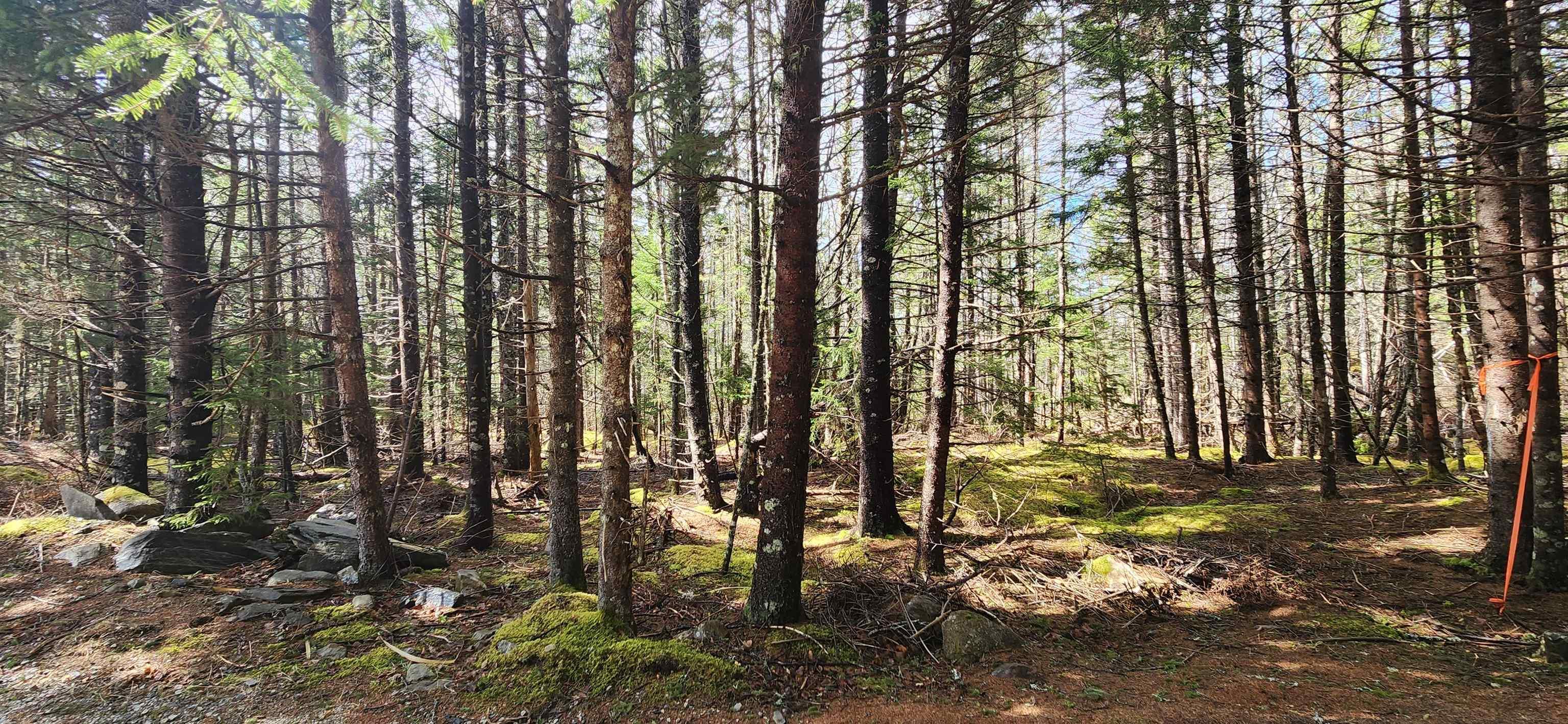 $58,900.00: Lot 101 Woods Road, Bayswater