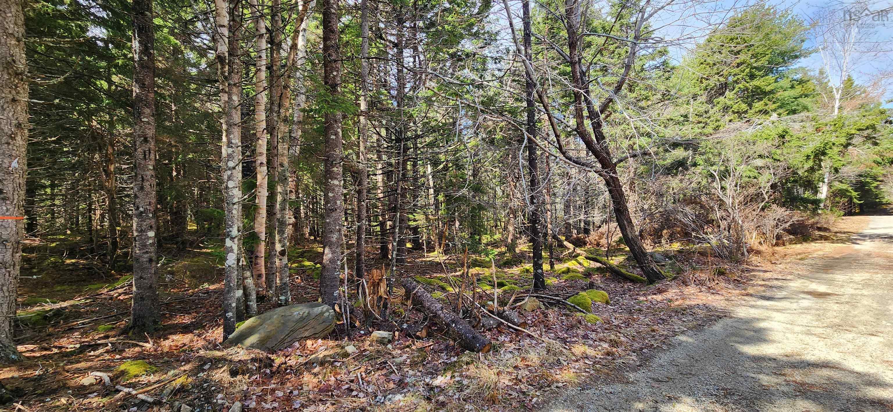 $58,900.00: Lot 101 Woods Road, Bayswater