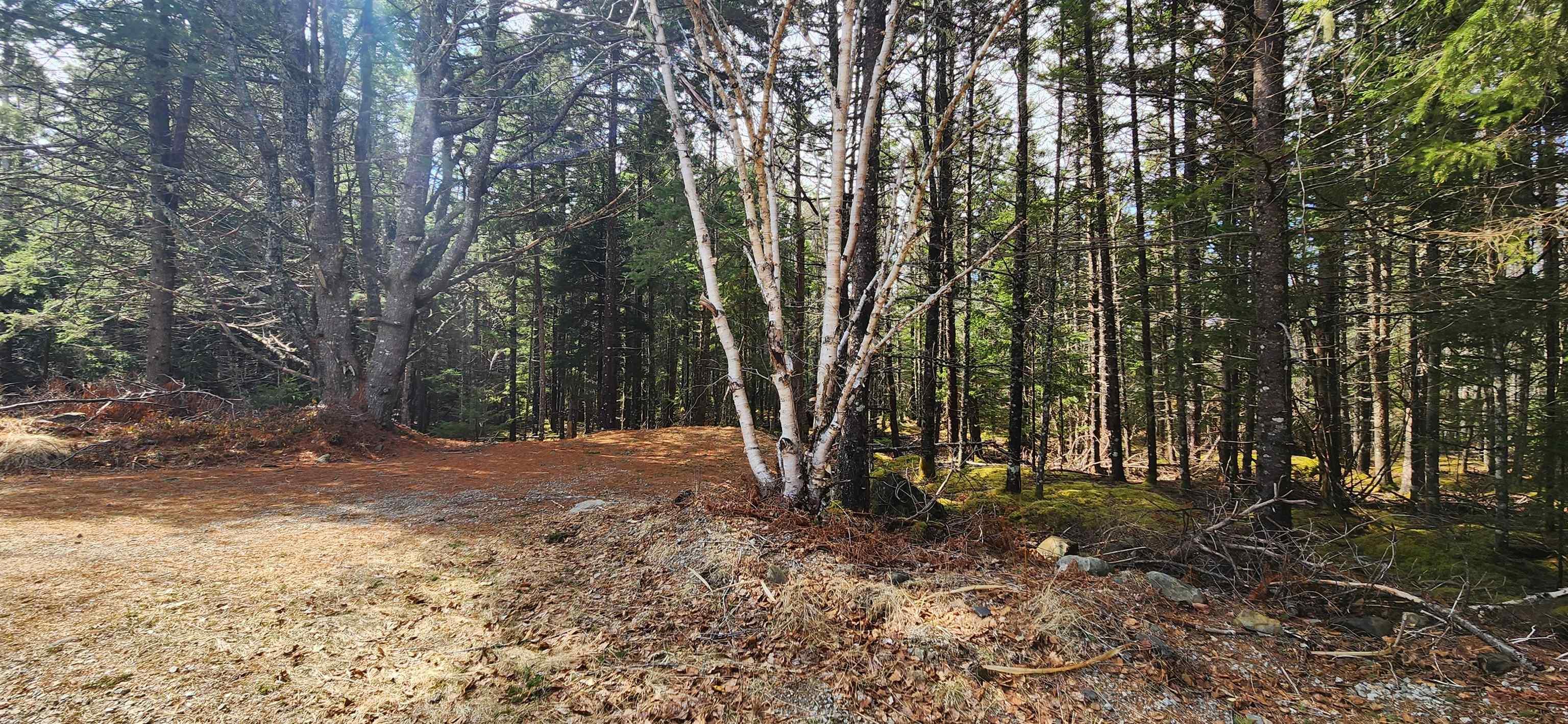 $58,900.00: Lot 101 Woods Road, Bayswater