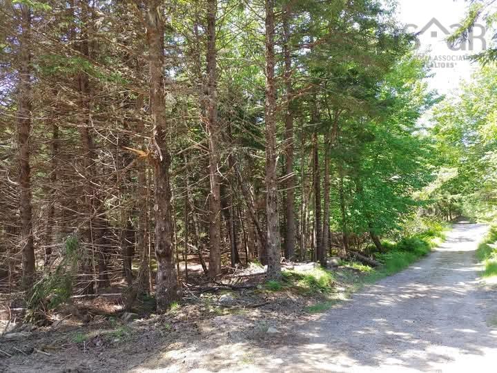 $58,900.00: Lot 101 Woods Road, Bayswater