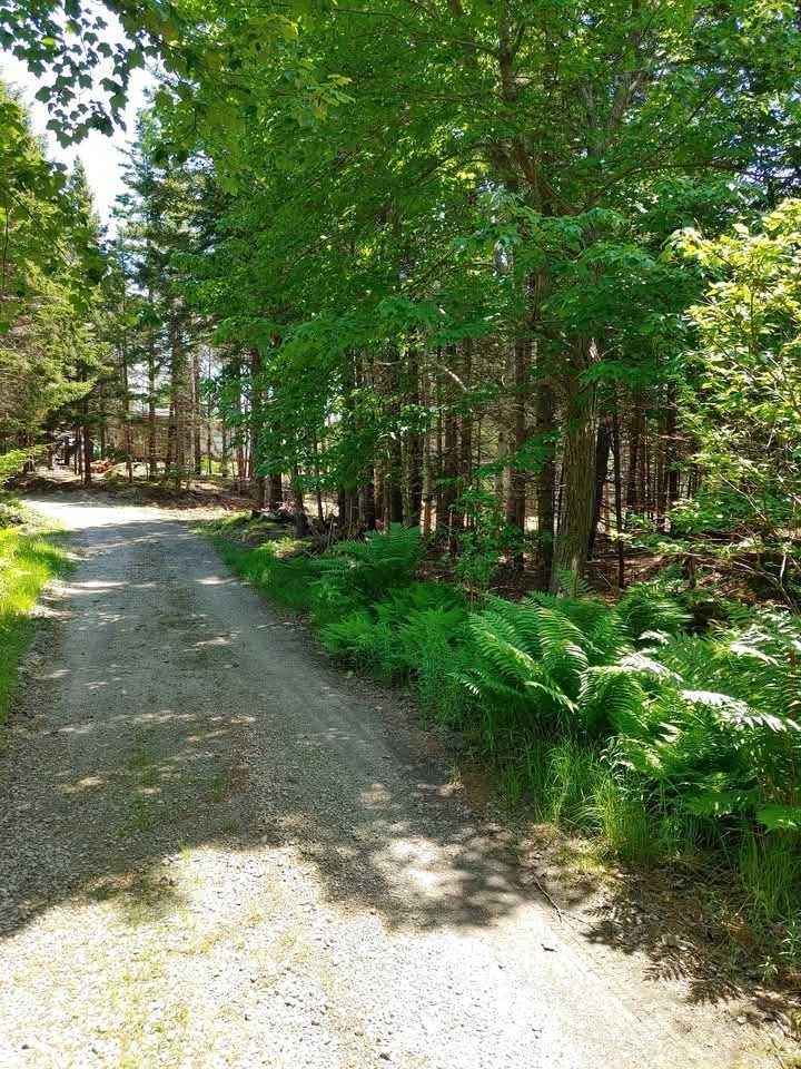 $58,900.00: Lot 101 Woods Road, Bayswater