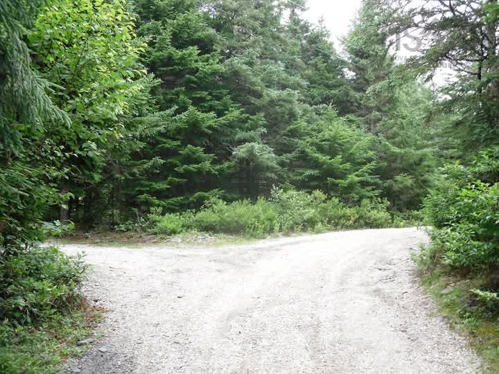 $58,900.00: Lot 101 Woods Road, Bayswater