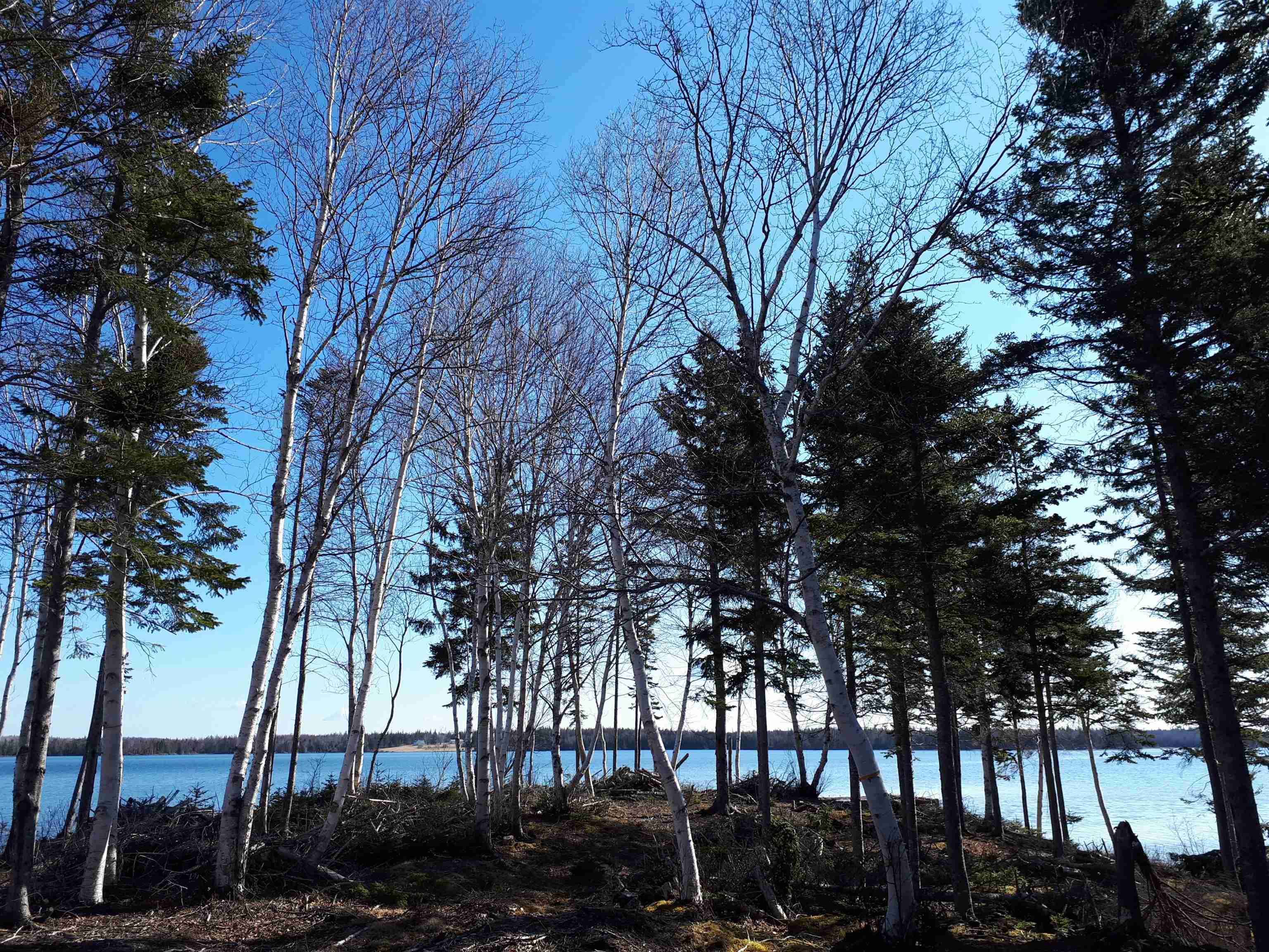 $139,000.00: Lot 16 Militia Point Rd, Militia Point