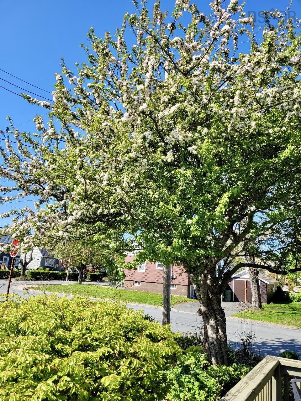 $699,900.00: 24 Frances Street, Dartmouth