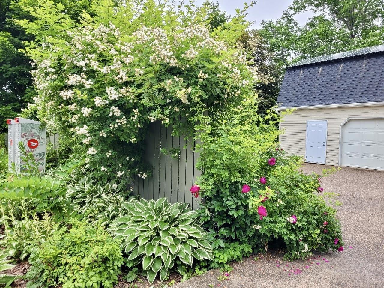$699,900.00: 24 Frances Street, Dartmouth