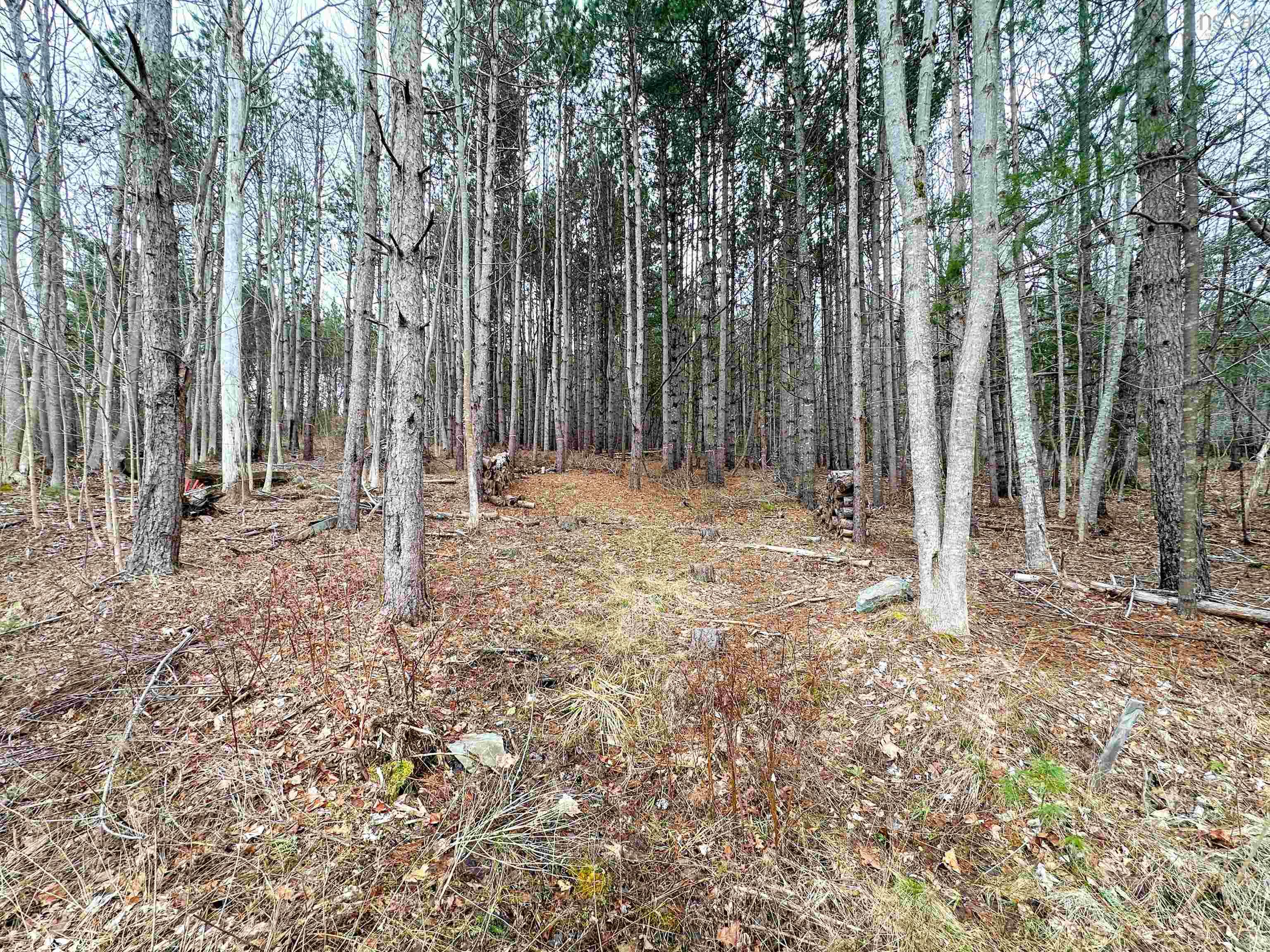 $84,000.00: LOT HARLOW Road, Conquerall Bank